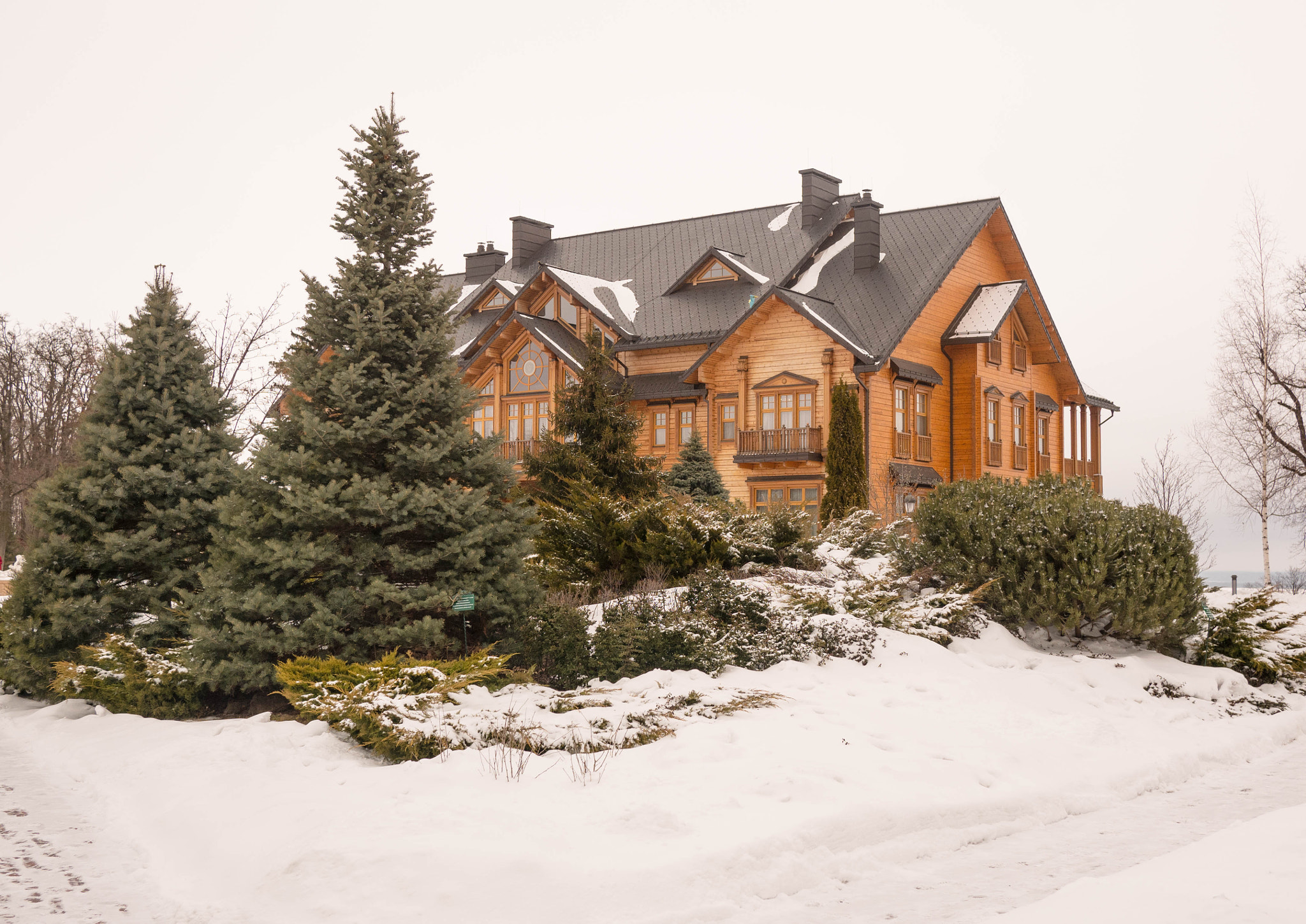 Panasonic Lumix DMC-GX85 (Lumix DMC-GX80 / Lumix DMC-GX7 Mark II) + LUMIX G 20/F1.7 II sample photo. Yanukovich residence photography
