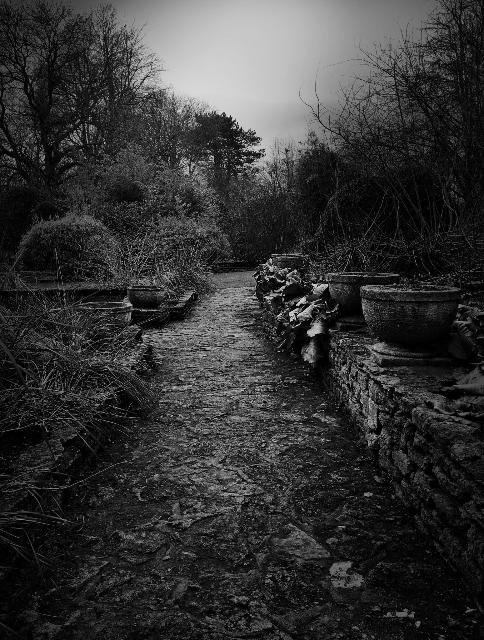 Hipstamatic 331 sample photo. Winter paths photography