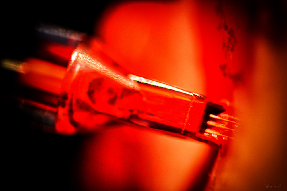 Nikon AF-S Micro-Nikkor 105mm F2.8G IF-ED VR sample photo. Red ink photography