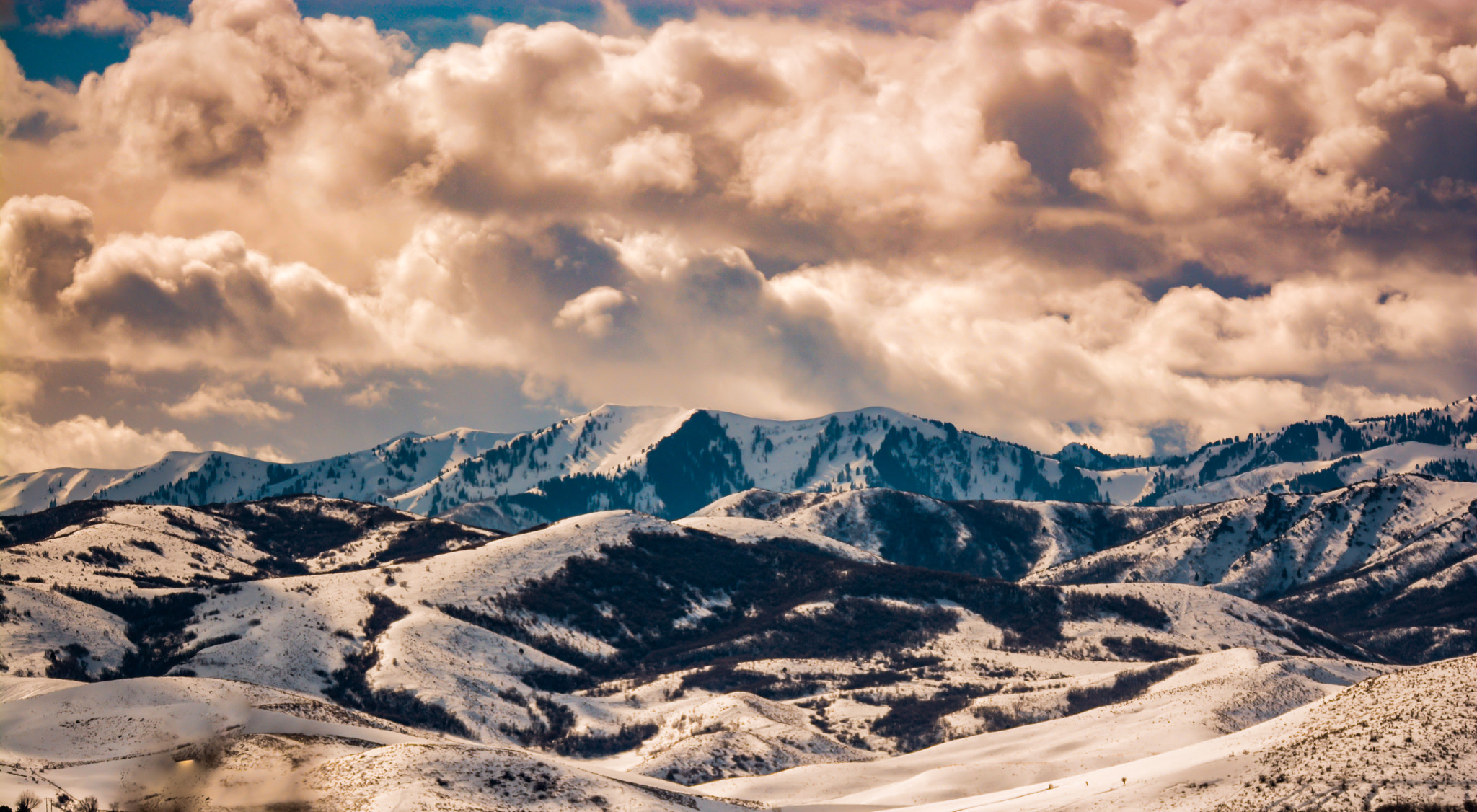 Sigma 150-600mm F5-6.3 DG OS HSM | S sample photo. Winter photography