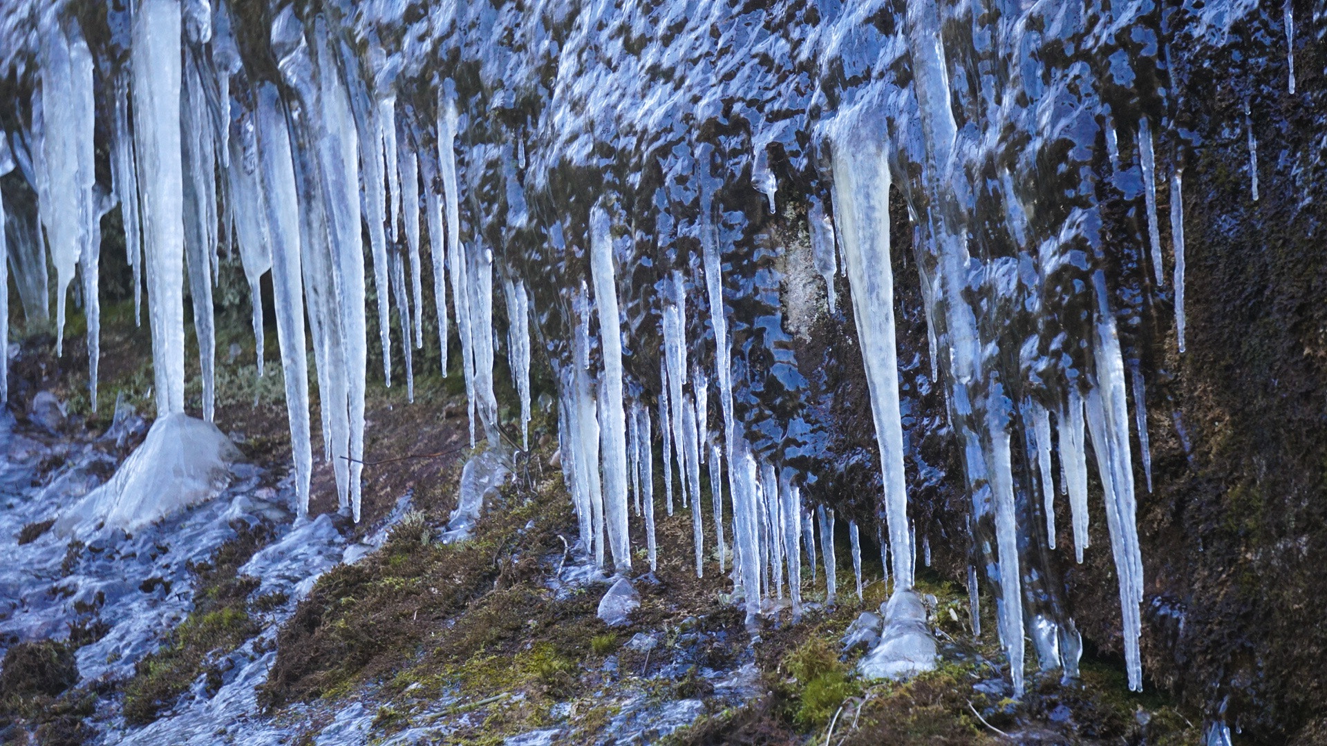 Sony a6300 + Sony E 55-210mm F4.5-6.3 OSS sample photo. Icicles photography