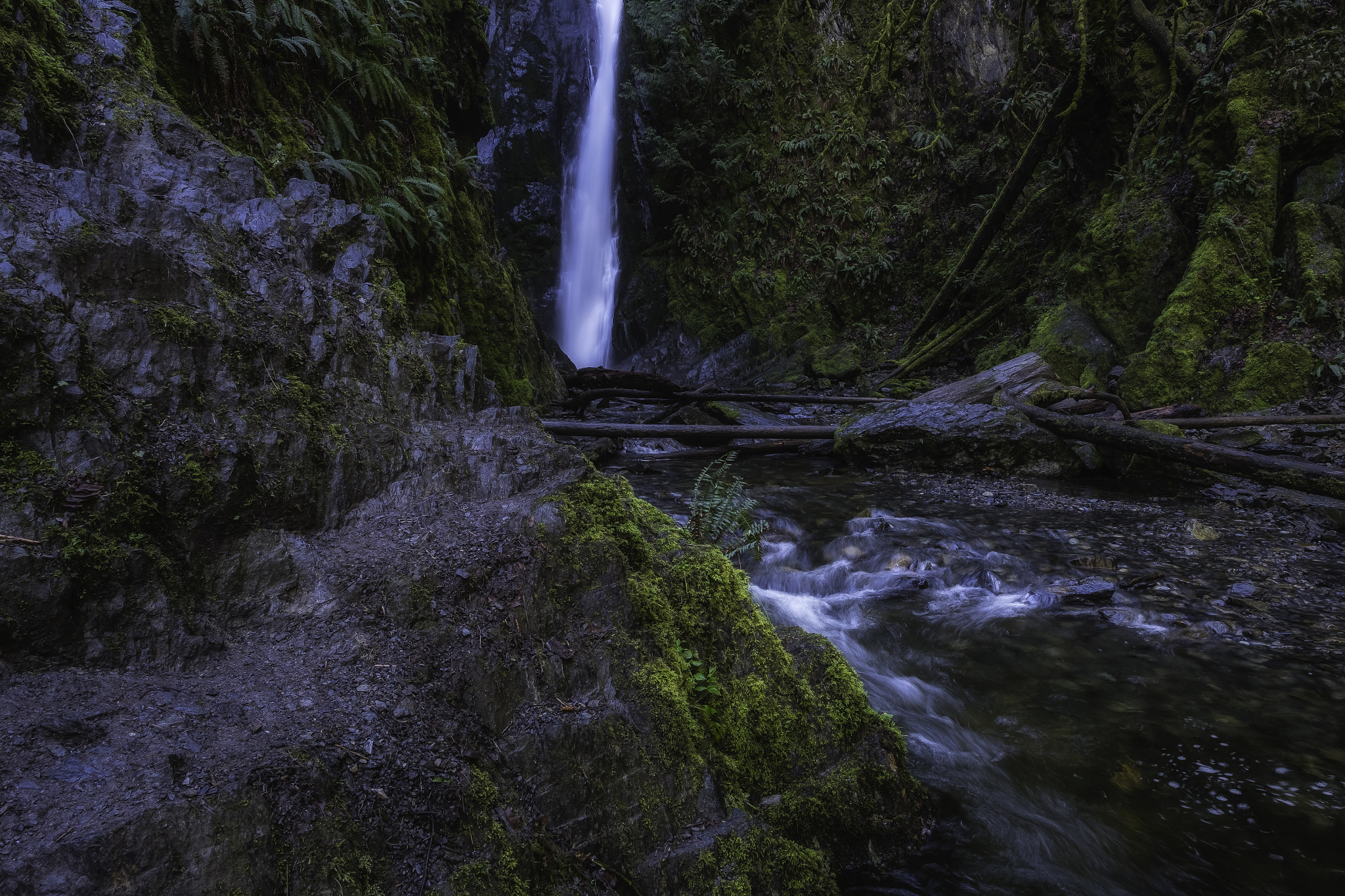 Fujifilm X-E2S + Fujifilm XF 14mm F2.8 R sample photo. Gold stream park photography