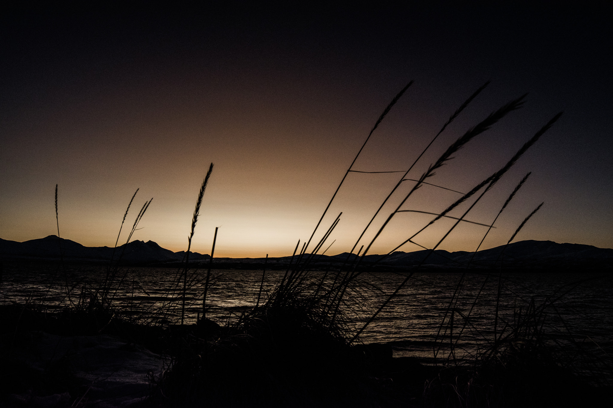 Samyang 14mm F2.8 ED AS IF UMC sample photo. Straw photography
