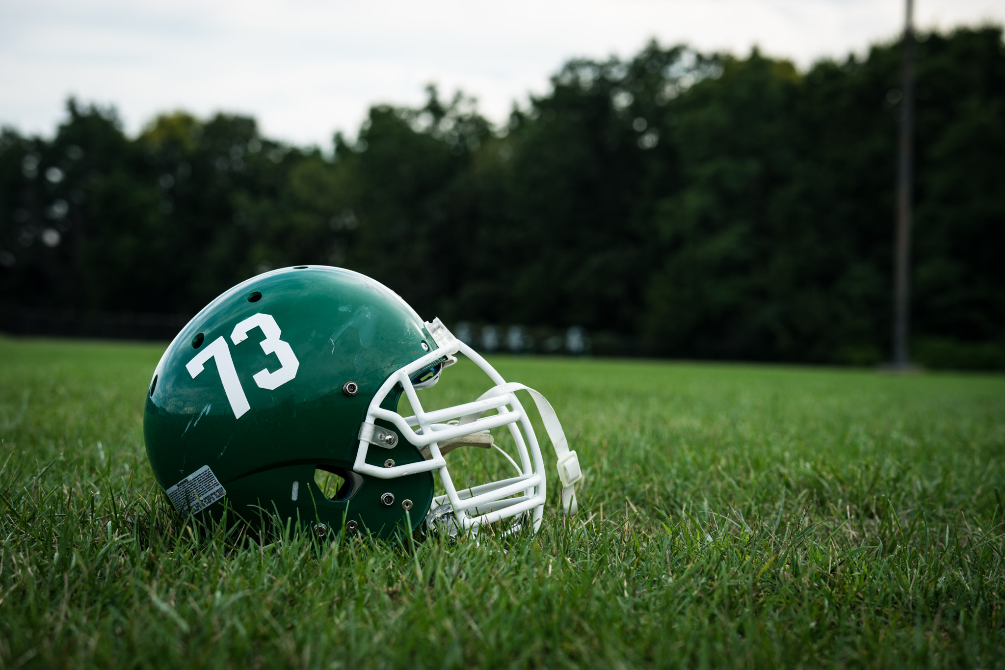 Sony FE 70-300mm F4.5-5.6 G OSS sample photo. Game day! photography