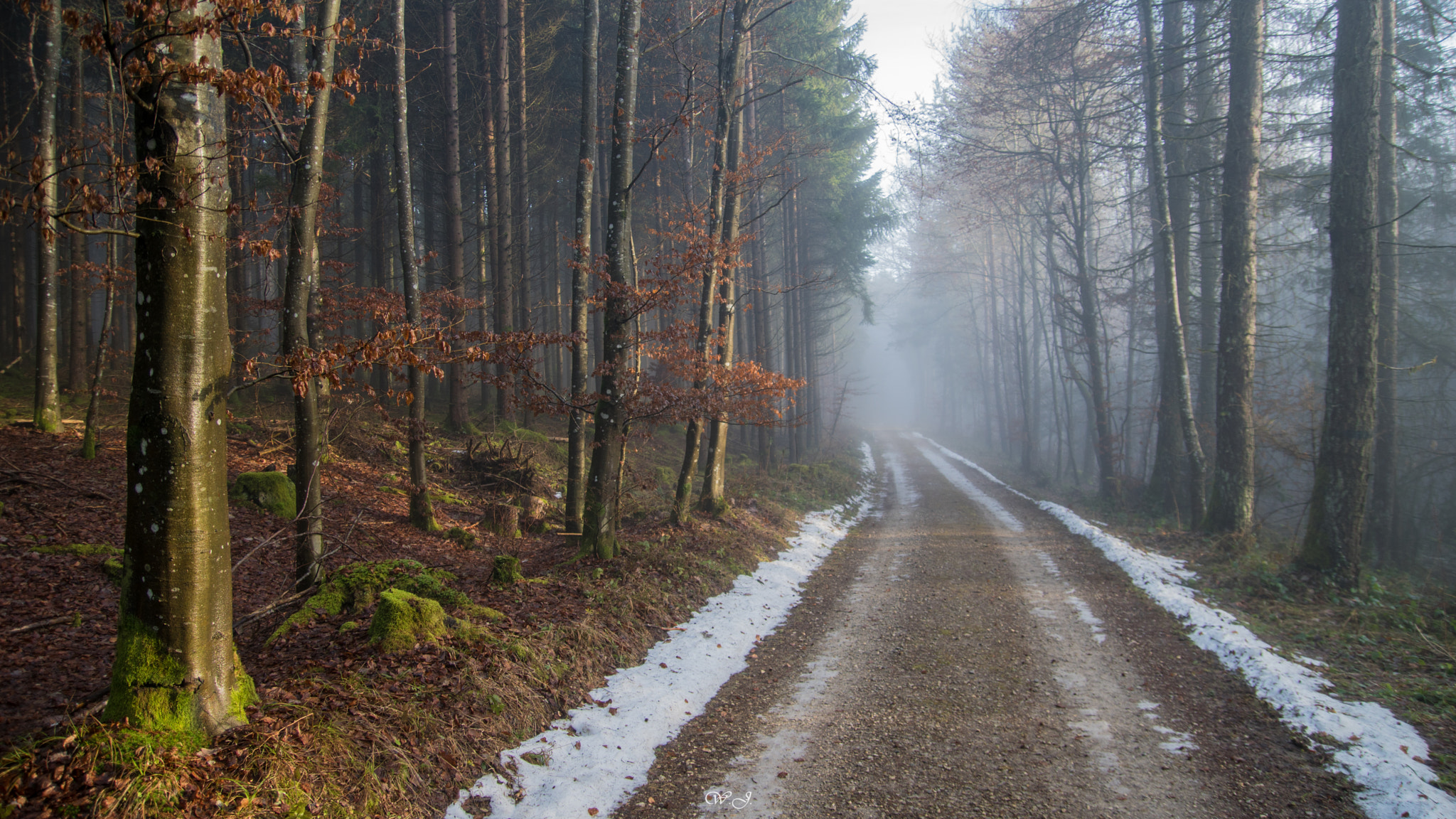 Sony ILCA-77M2 sample photo. Chilly morning photography
