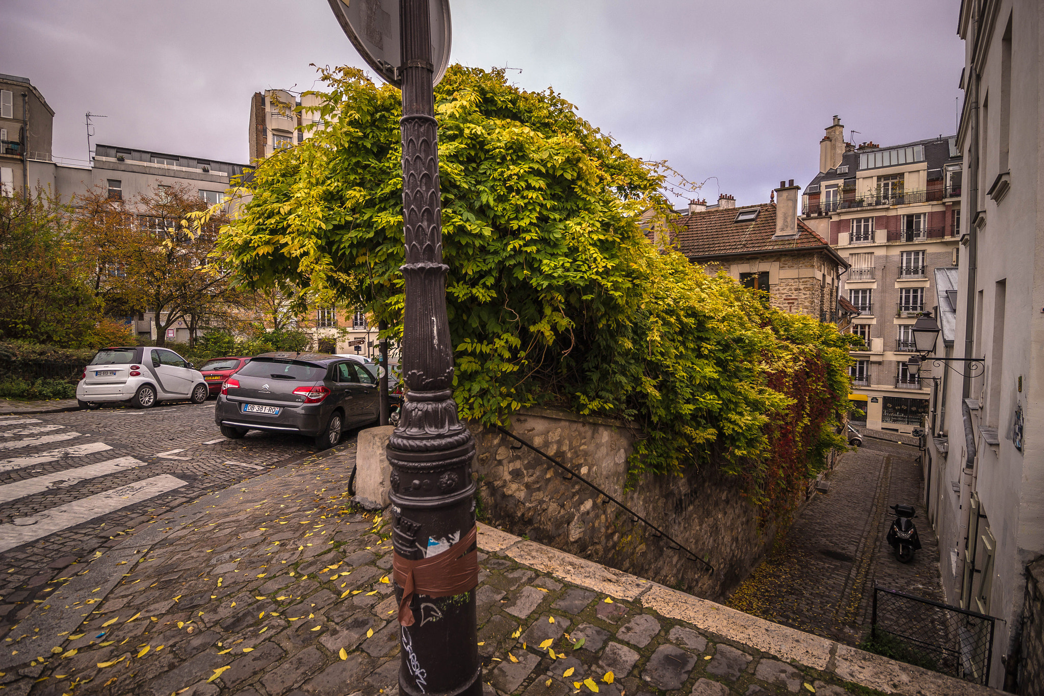 Canon EOS 700D (EOS Rebel T5i / EOS Kiss X7i) sample photo. Mont marte photography