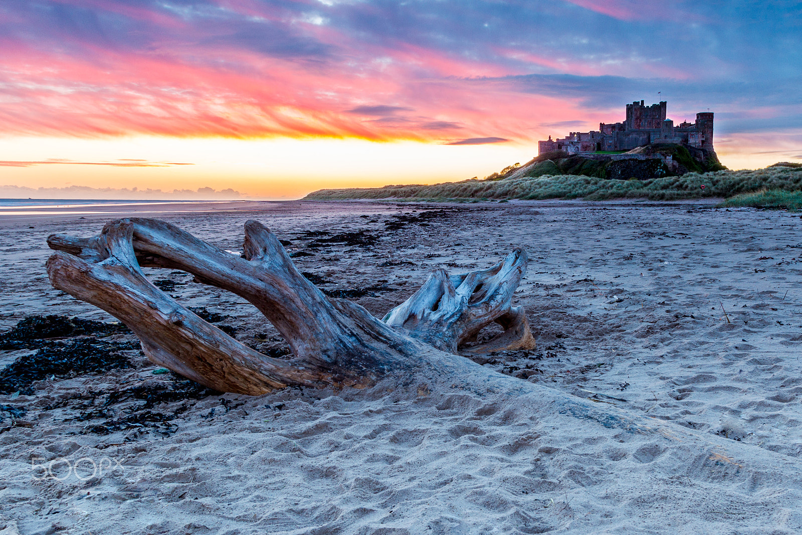 Canon EOS-1D Mark IV sample photo. Bamburgh castle photography