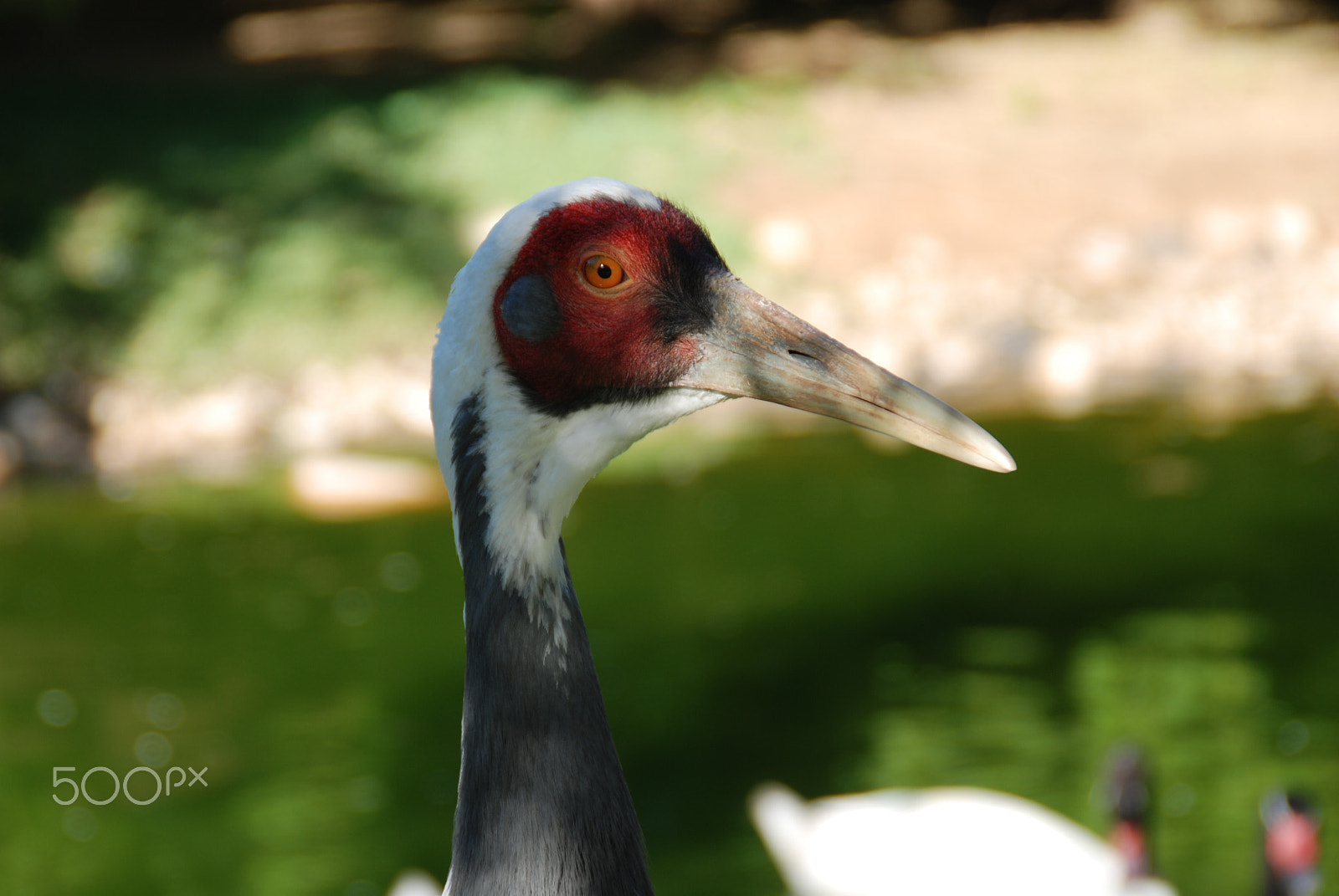 Nikon D80 sample photo. .... photography