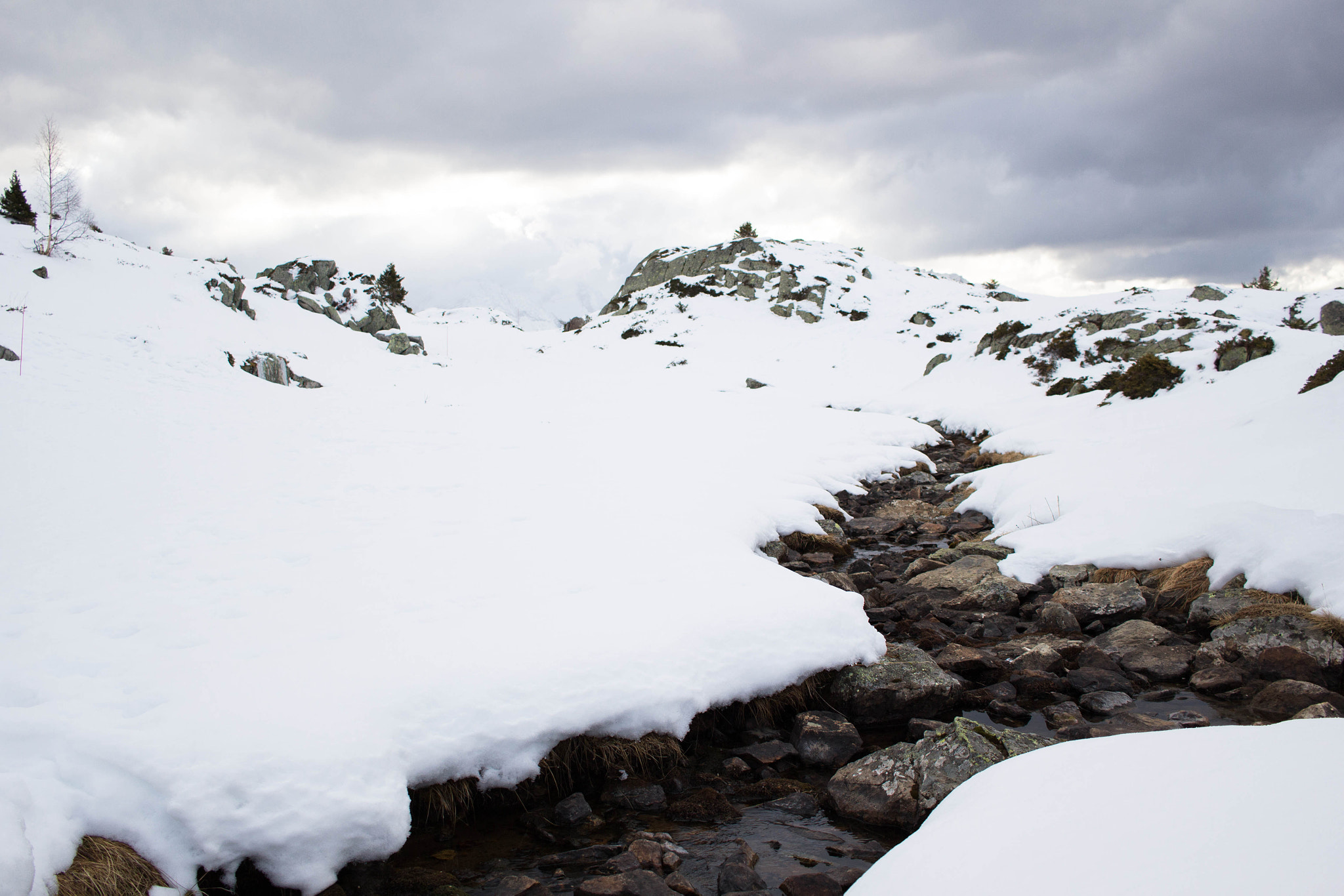 Canon EF-S 24mm F2.8 STM sample photo. A path in snow photography