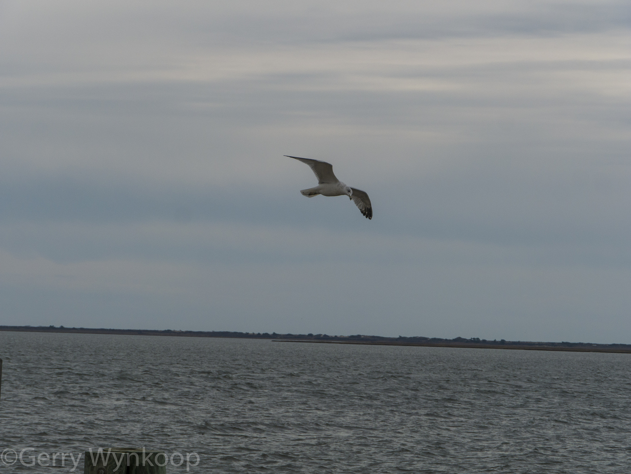 Panasonic Lumix DMC-GX7 sample photo. _1070671.jpg photography