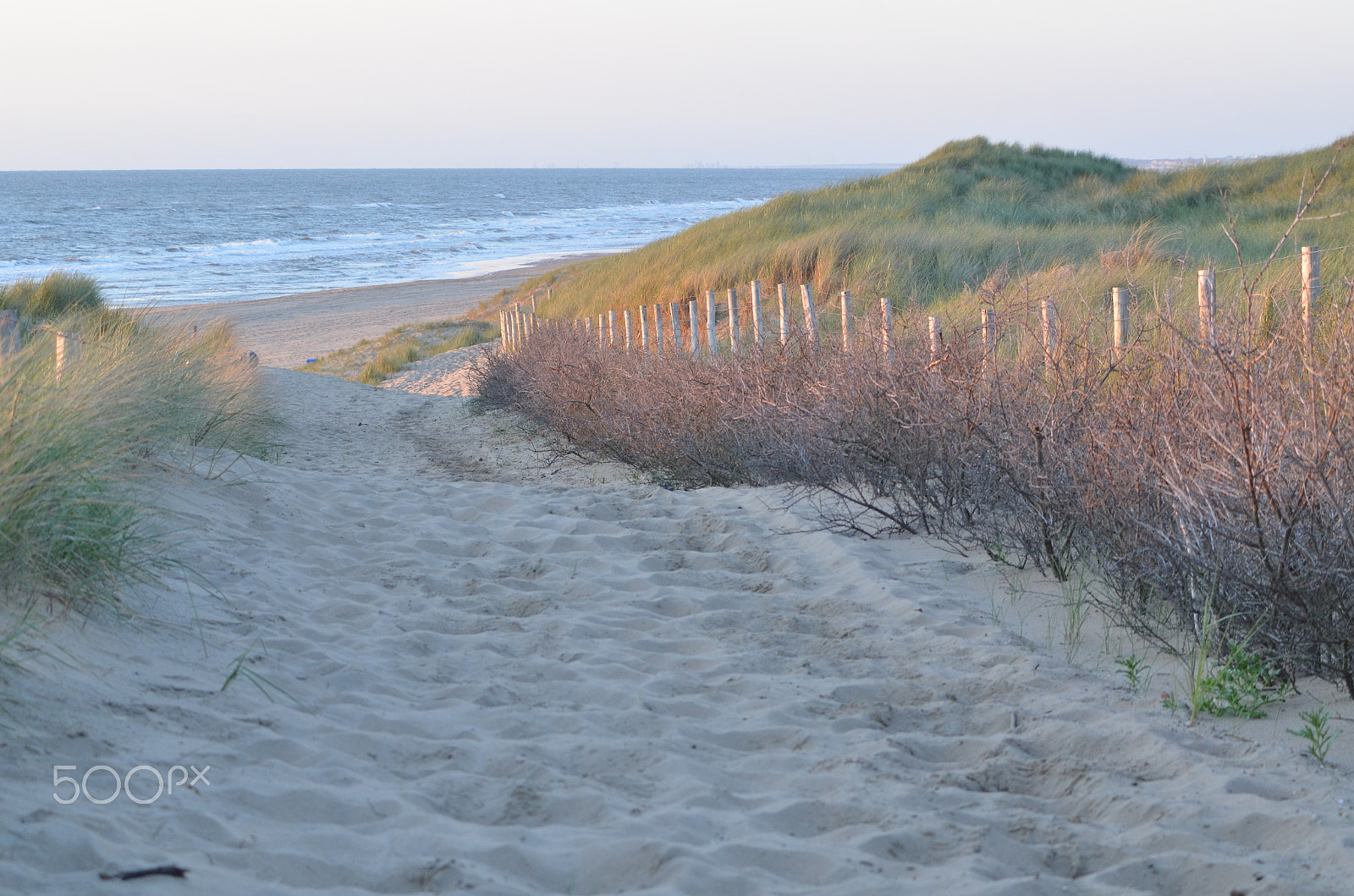 Nikon D7000 + AF Zoom-Nikkor 70-210mm f/4 sample photo. Road to the sea photography