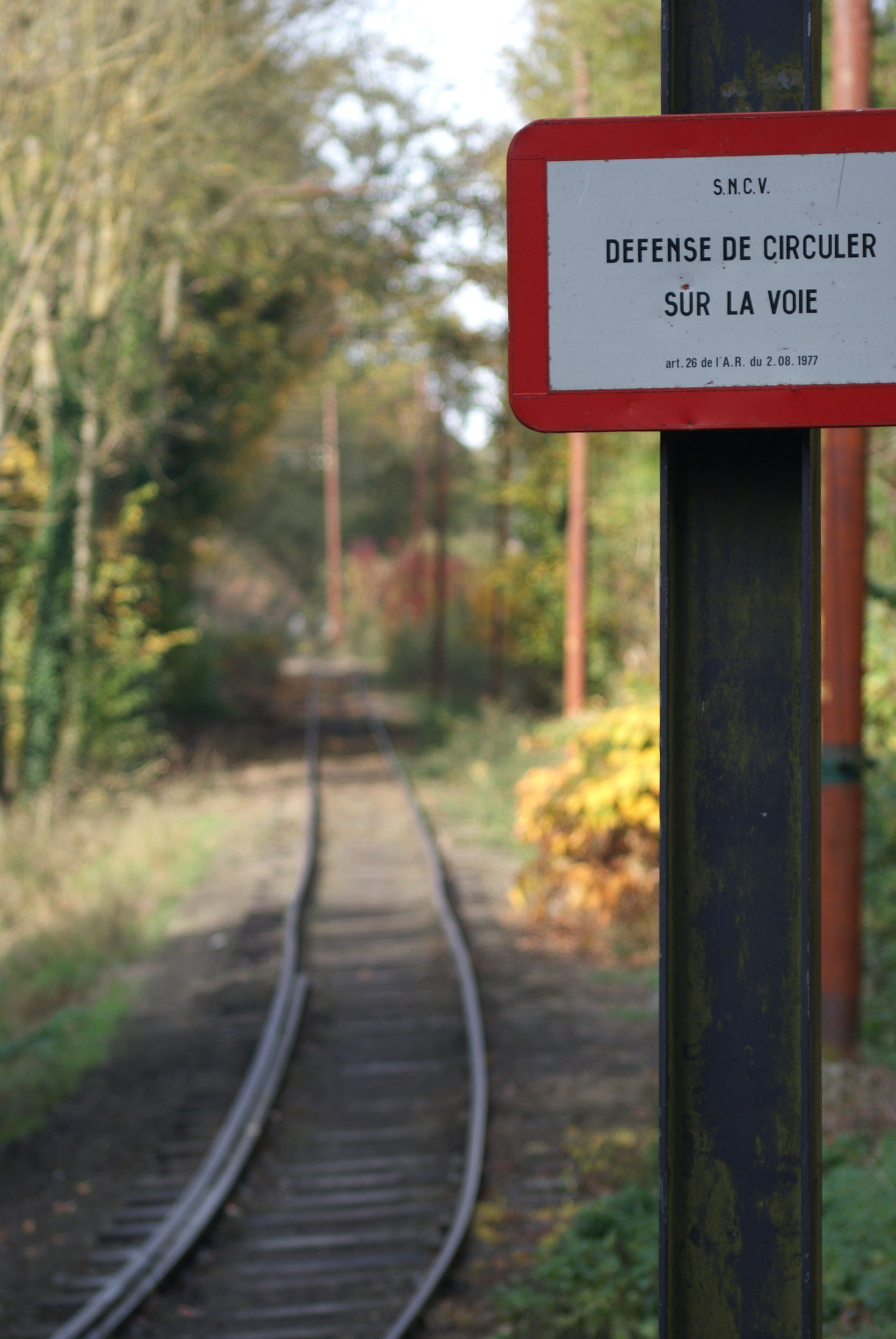 Sony Alpha DSLR-A200 sample photo. Abandoned public transport rail line photography