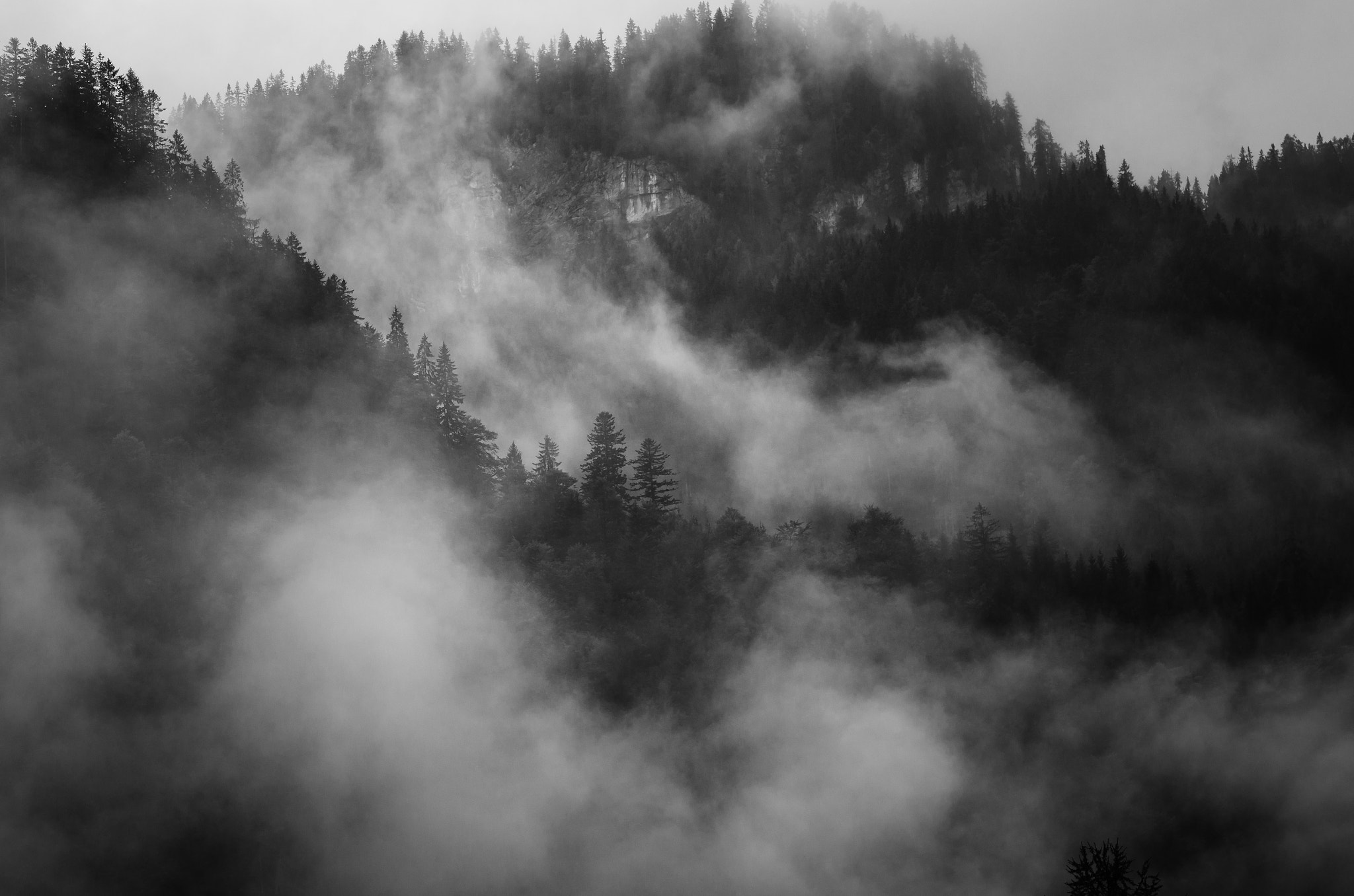 Nikon AF-S Nikkor 70-200mm F2.8G ED VR II sample photo. Nebelwald photography