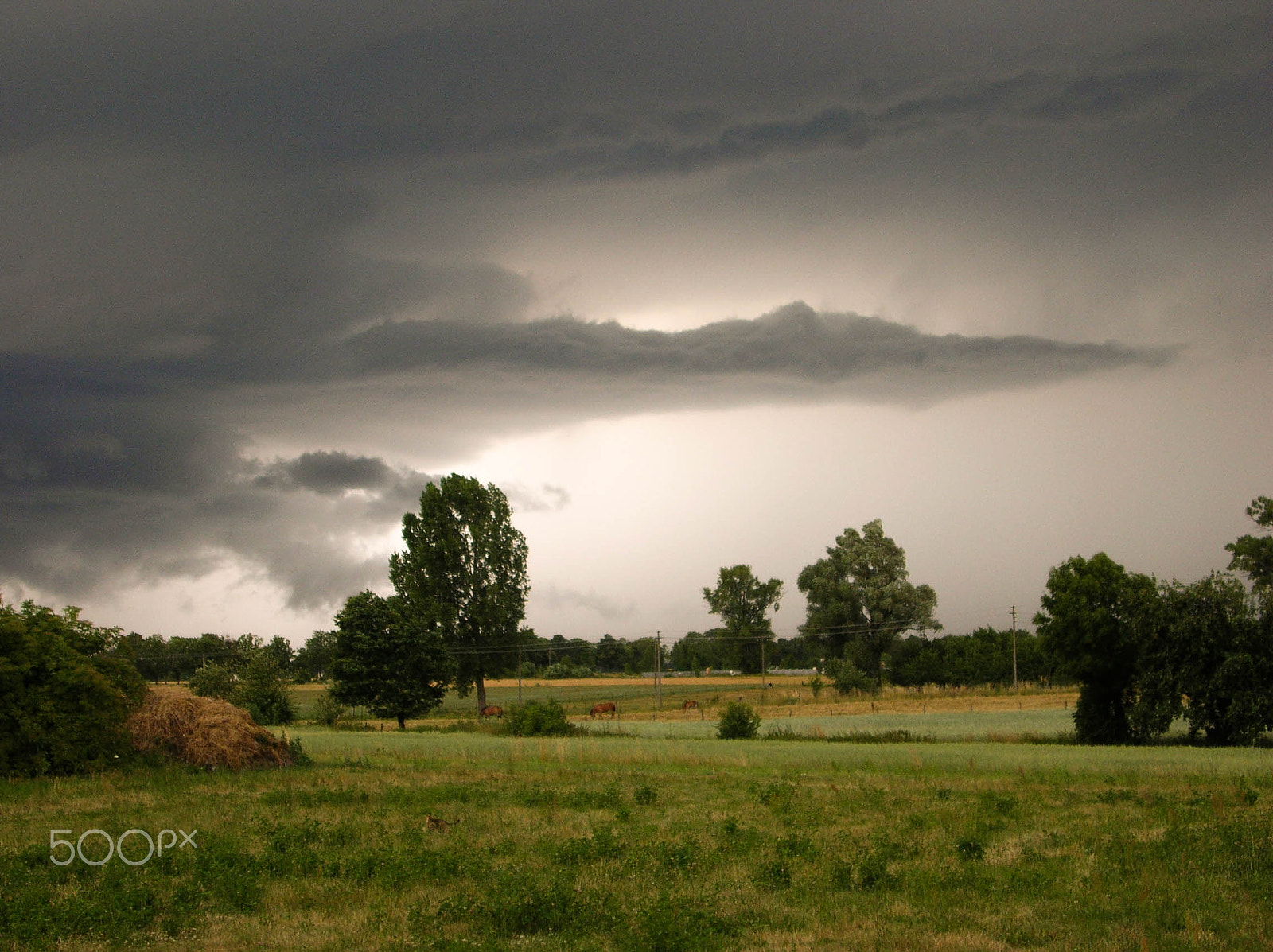 Nikon E4100 sample photo. Just before the storm photography