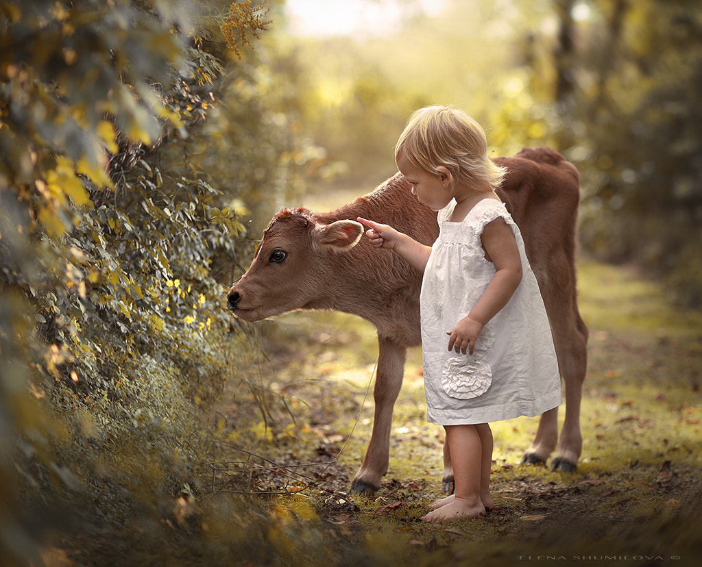 ..curious.. by Elena Shumilova on 500px.com
