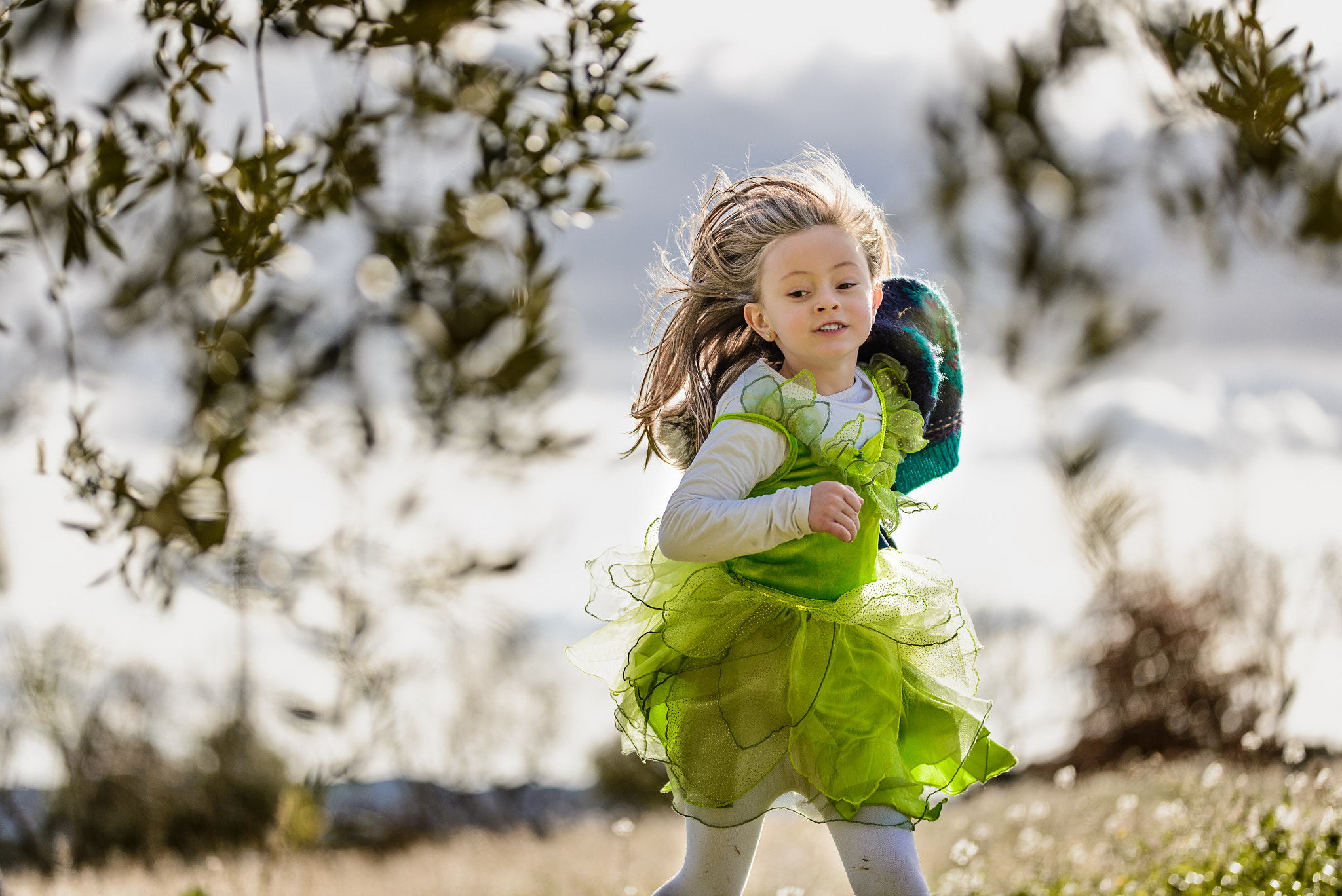 Sigma 105mm F2.8 EX DG Macro sample photo. A beautiful fairy photography