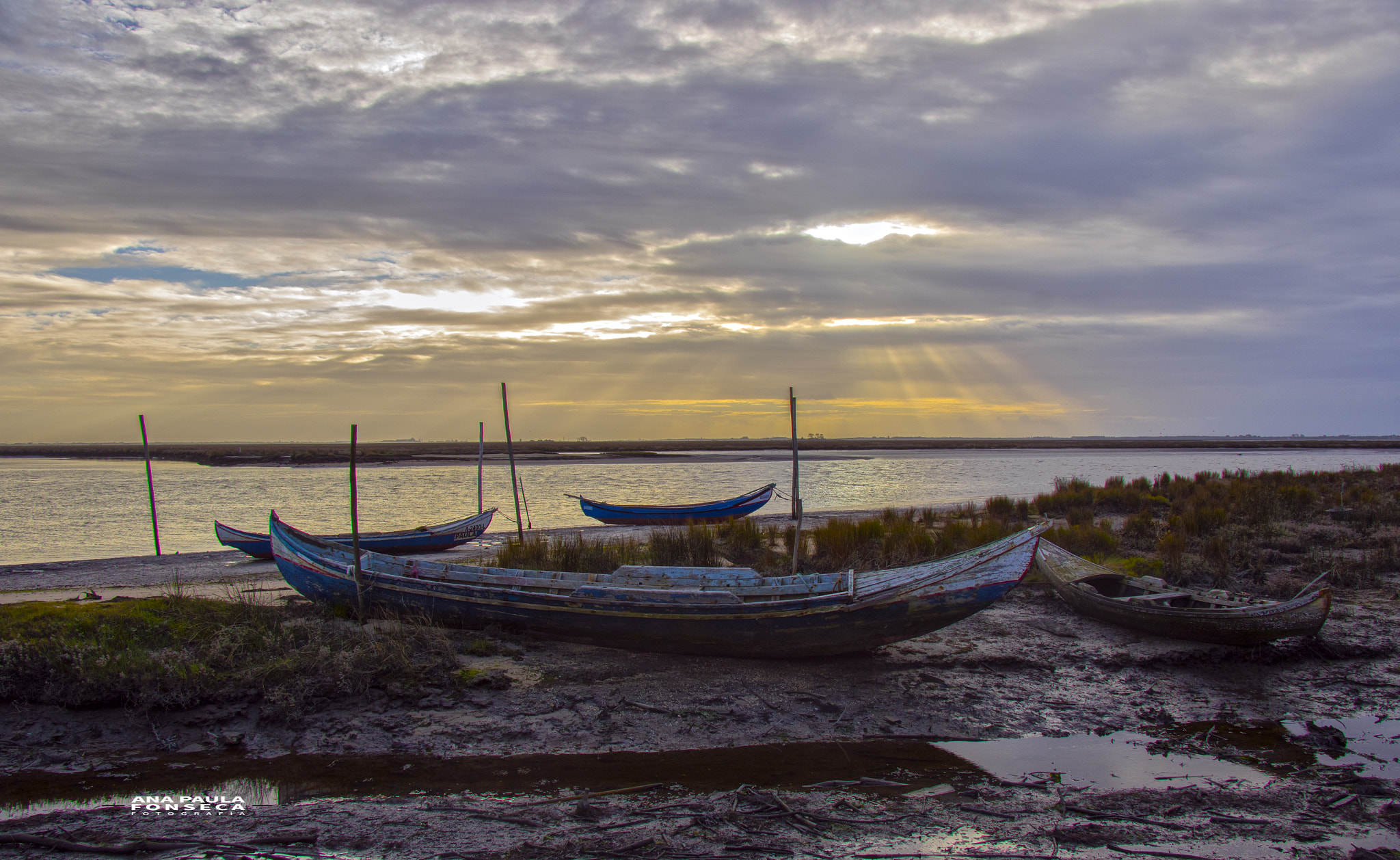 Canon EF-S 17-85mm F4-5.6 IS USM sample photo. Boats photography