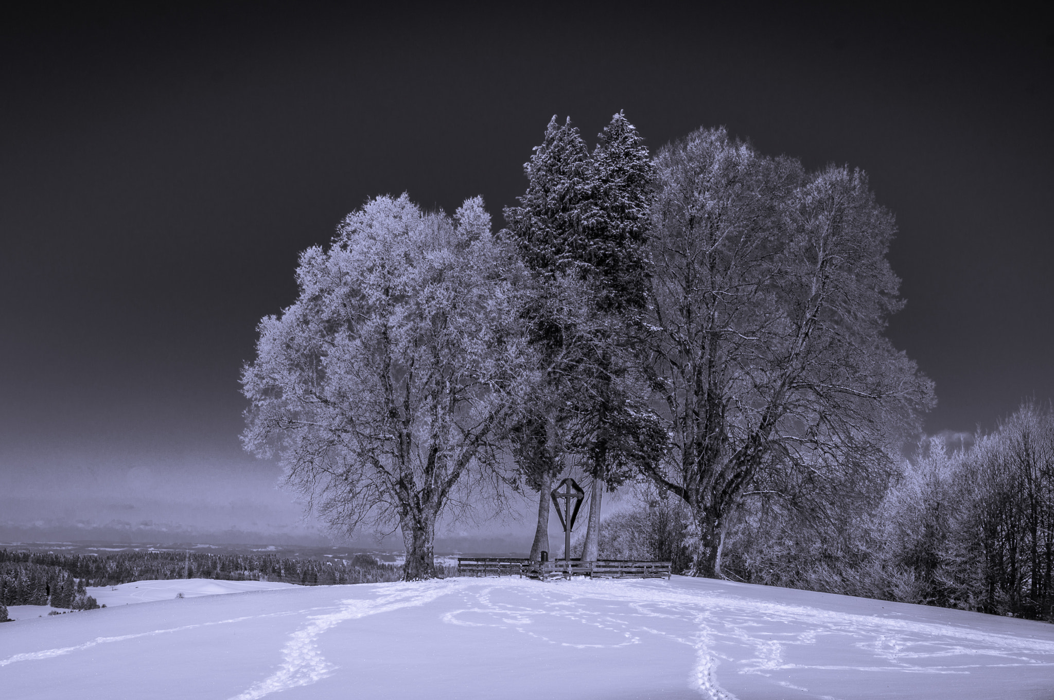 Minolta AF 17-35mm F2.8-4 (D) sample photo. Winter photography