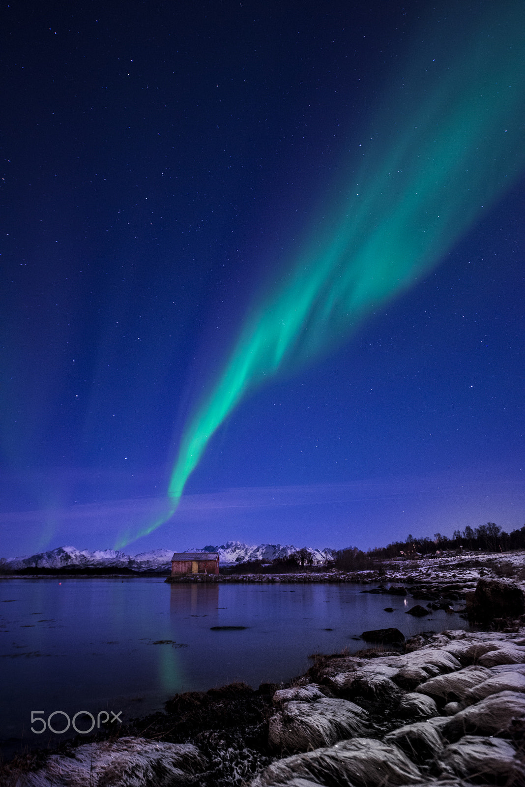 Nikon D600 + Nikon AF-S Nikkor 14-24mm F2.8G ED sample photo. Aurora borealis, norway photography