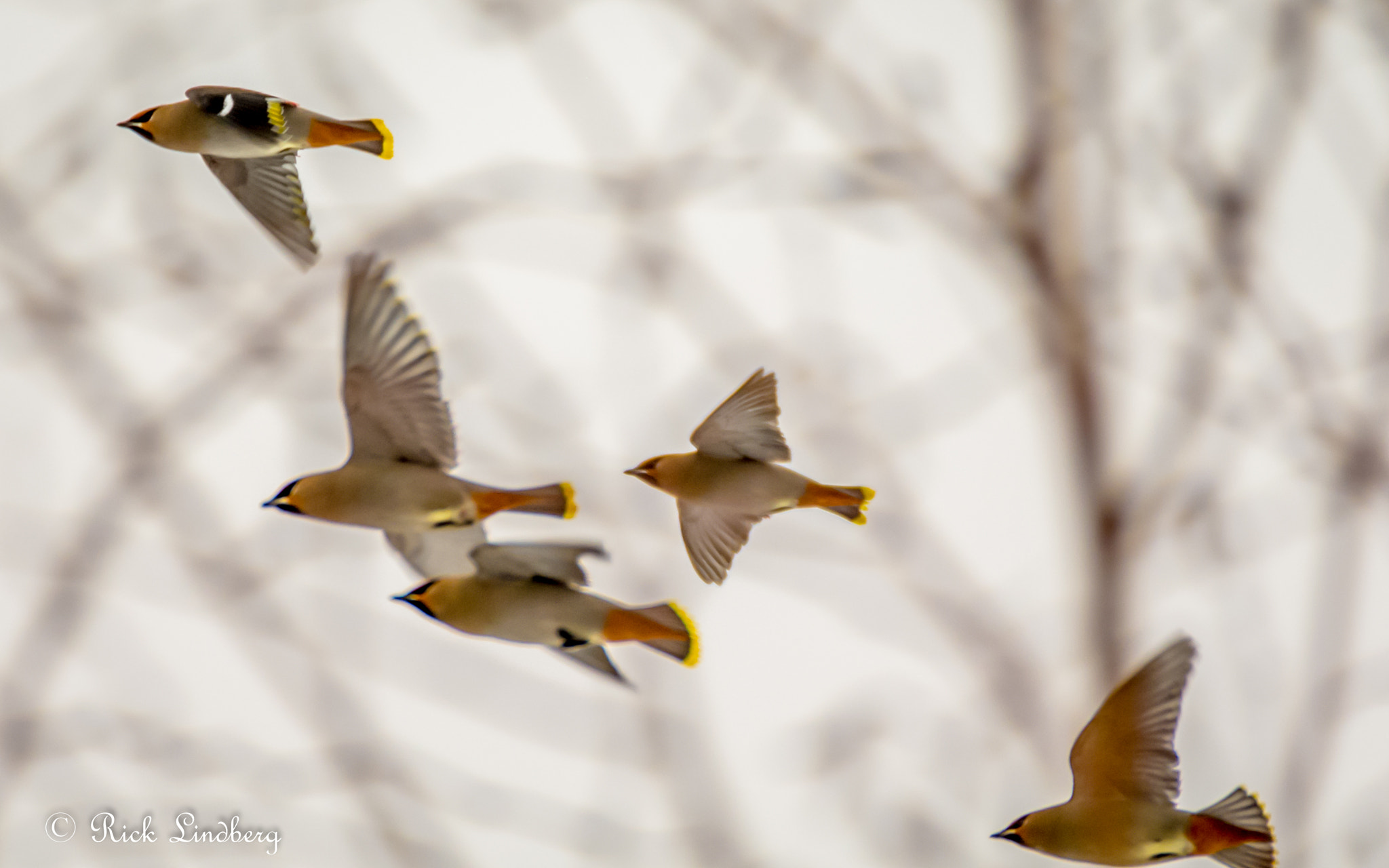 Pentax K-5 sample photo. Flight photography