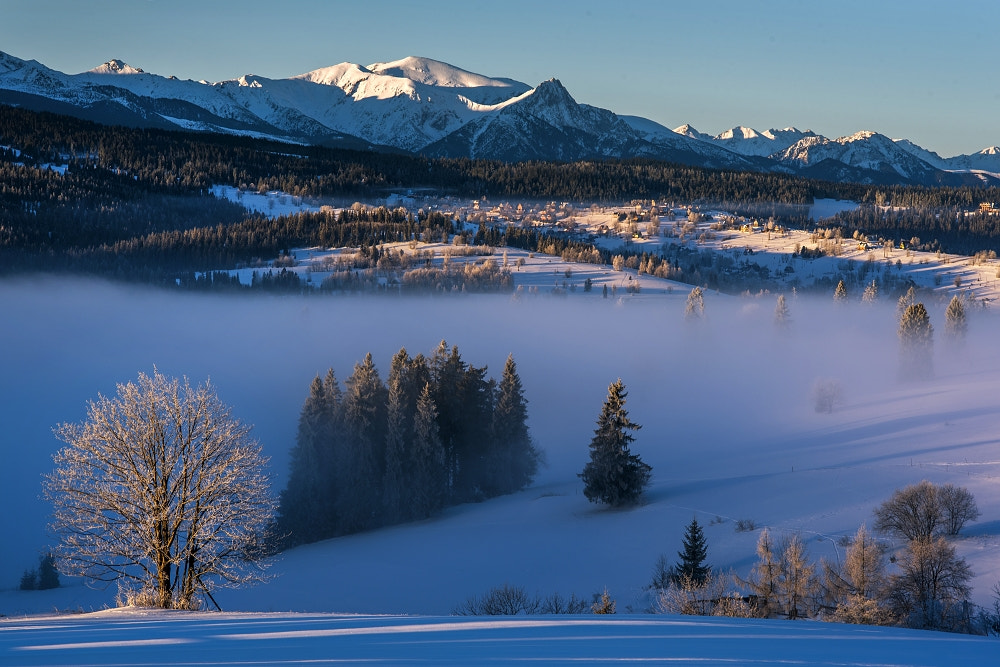 Nikon D750 + Sigma 70-200mm F2.8 EX DG Macro HSM II sample photo. Winter morning photography