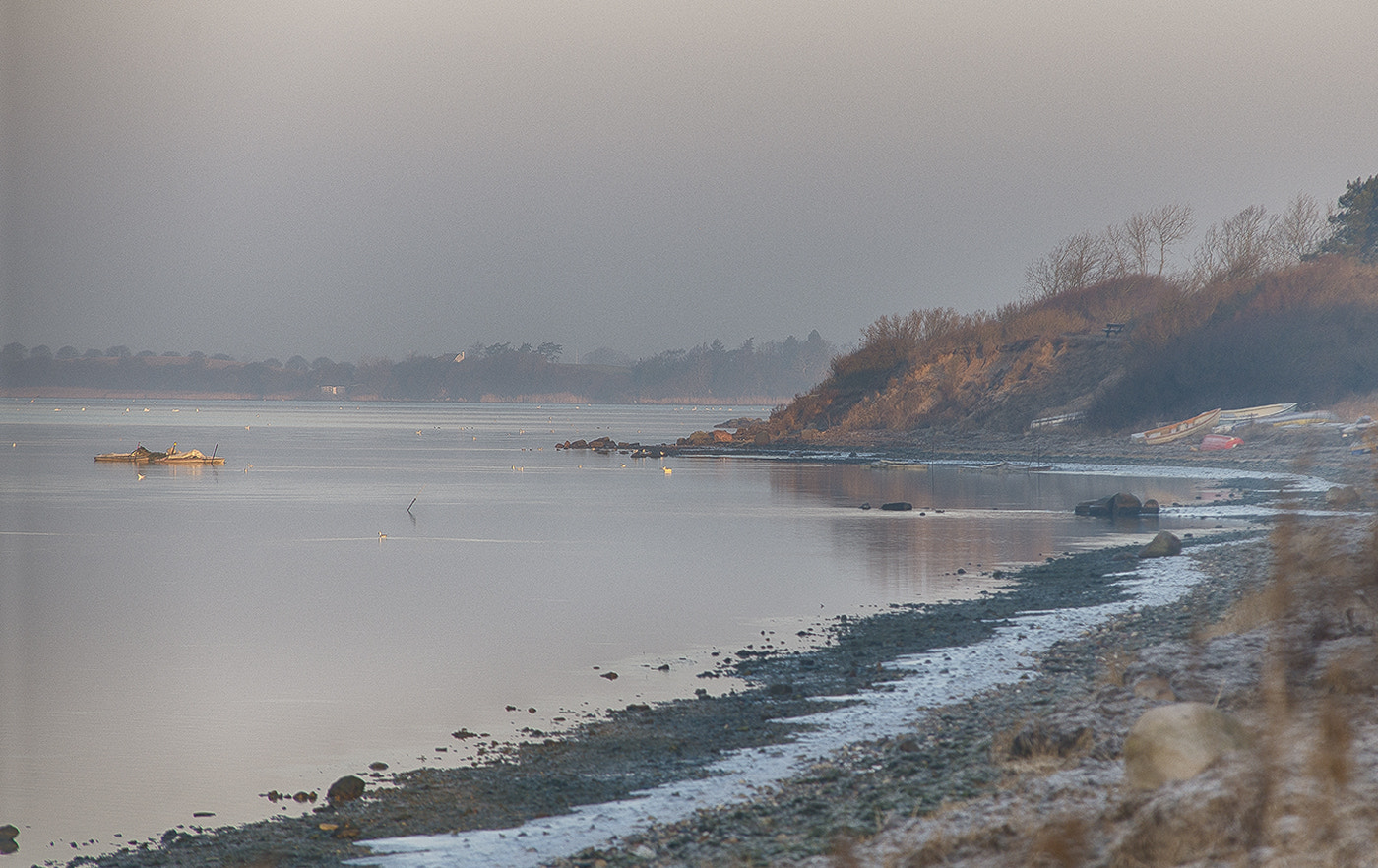 Nikon D800 + Sigma 70-200mm F2.8 EX DG Macro HSM II sample photo. An early morning photography