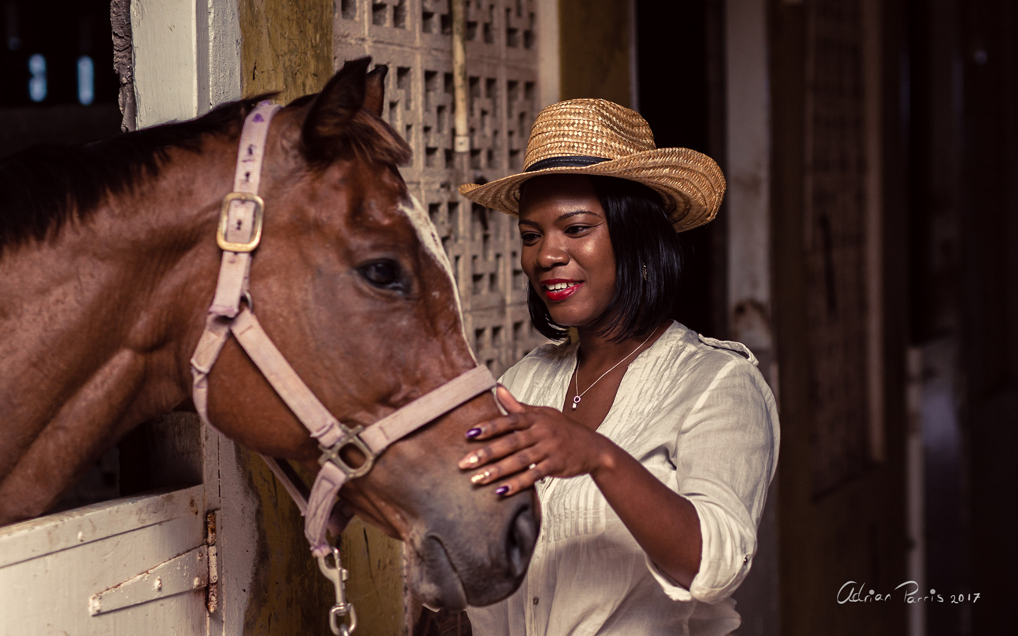 Sigma 50mm F1.4 EX DG HSM sample photo. "i love horses " photography