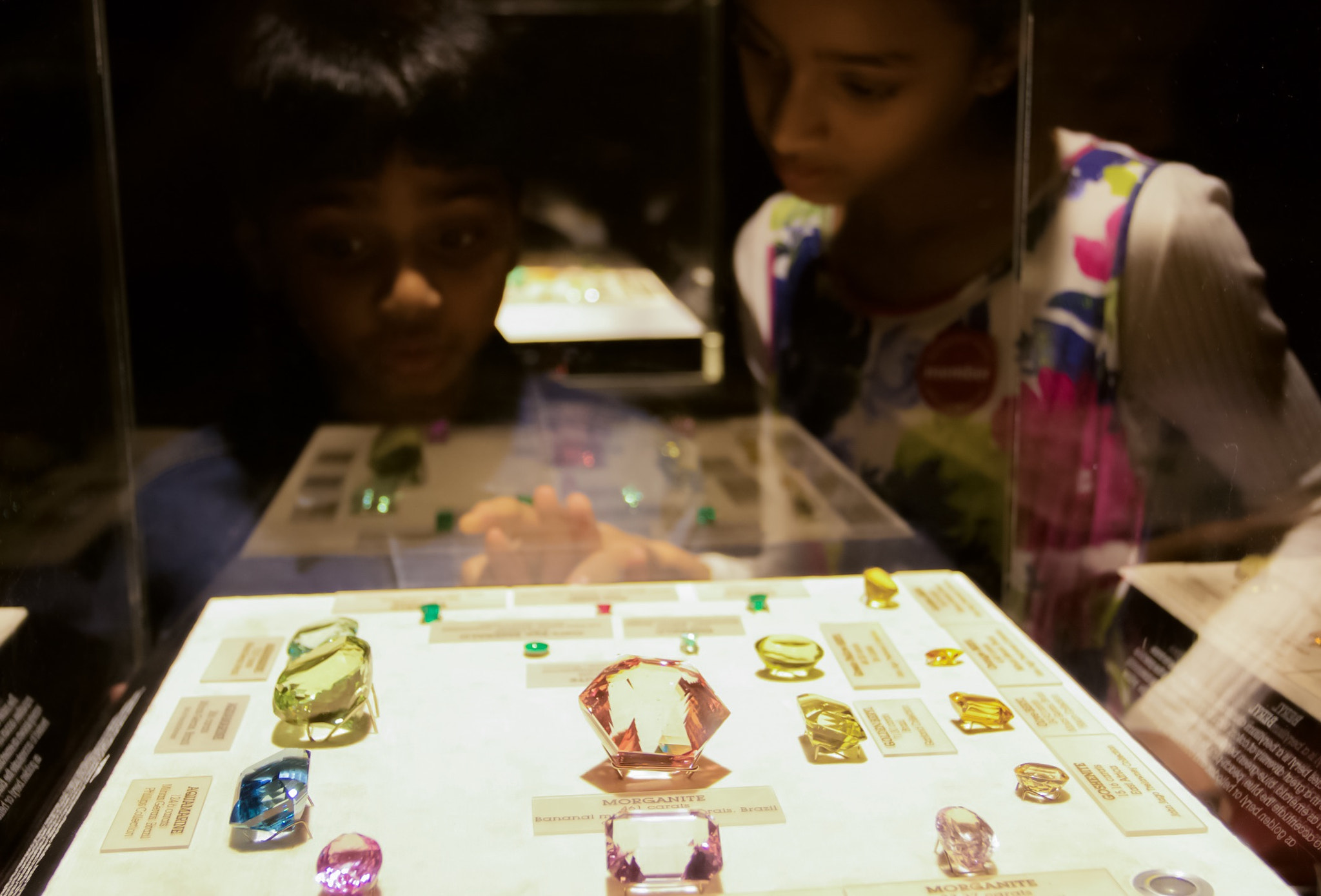 Canon EF 17-40mm F4L USM sample photo. Always a pleasure going to the natural history mus ... photography