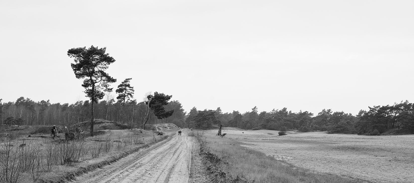 Nikon D800 + Nikon AF Nikkor 50mm F1.4D sample photo. Beekhuizerzand photography