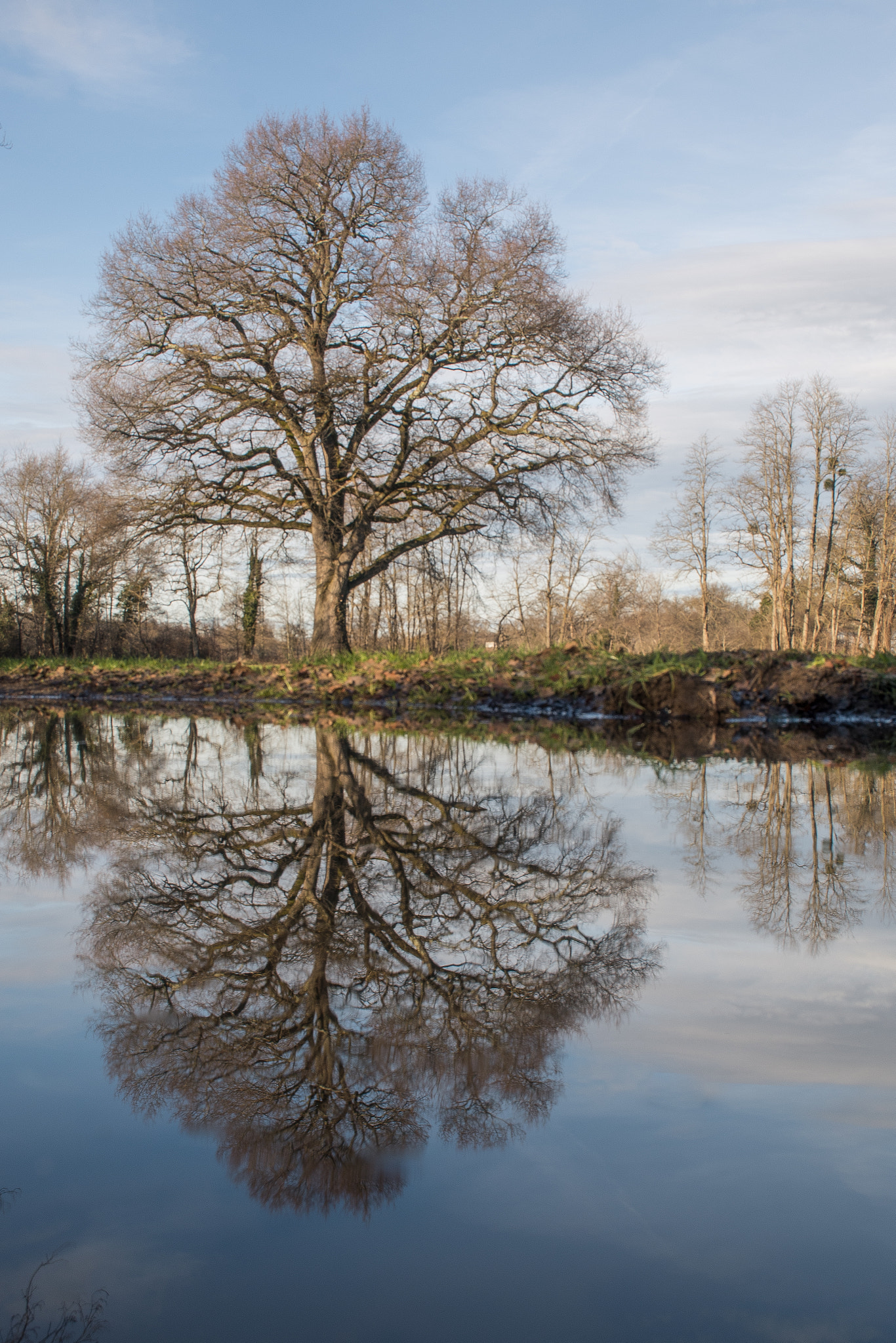Nikon D500 sample photo. Reflection photography