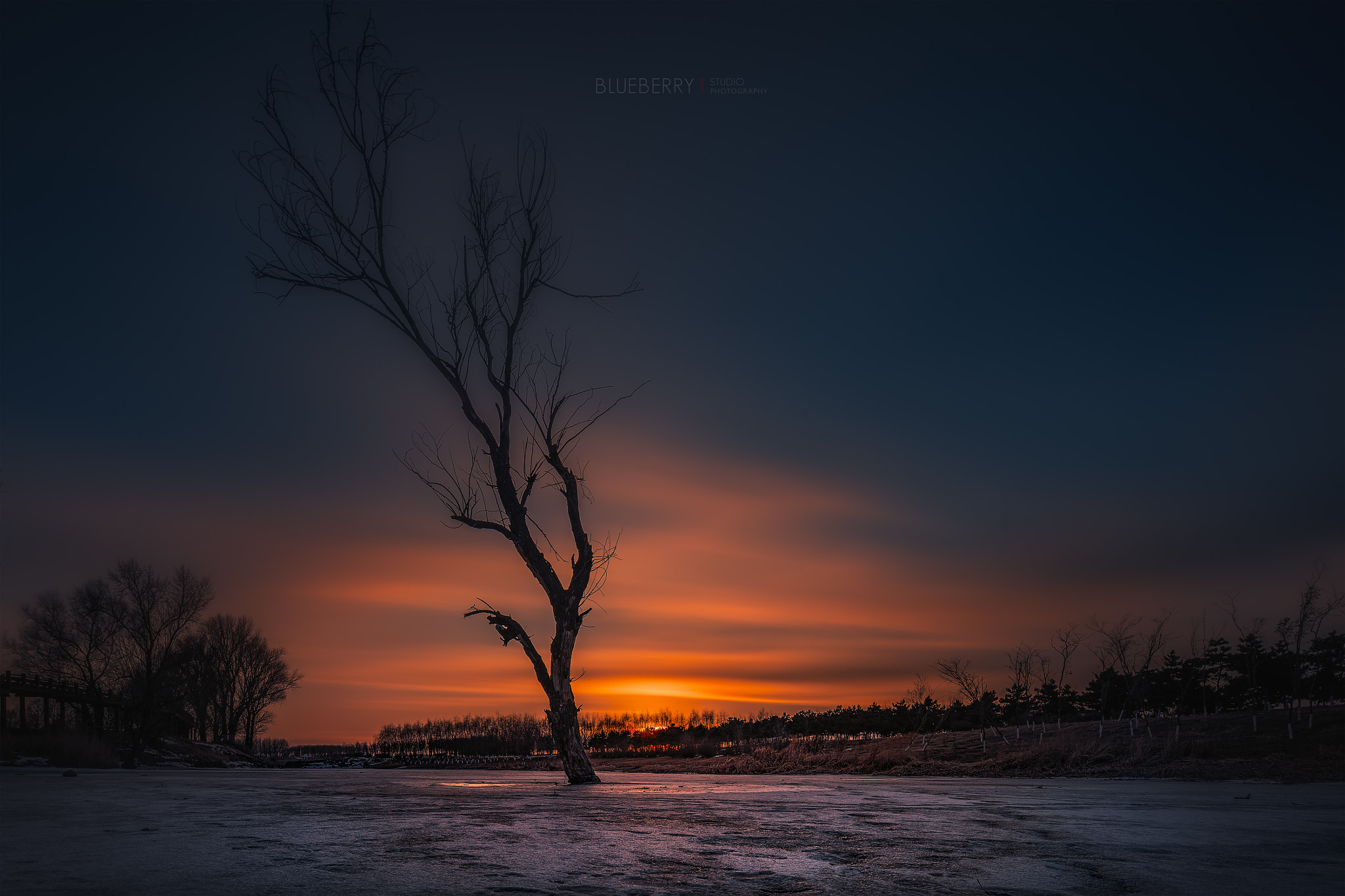 Canon EOS 5DS R + Canon TS-E 17mm F4L Tilt-Shift sample photo