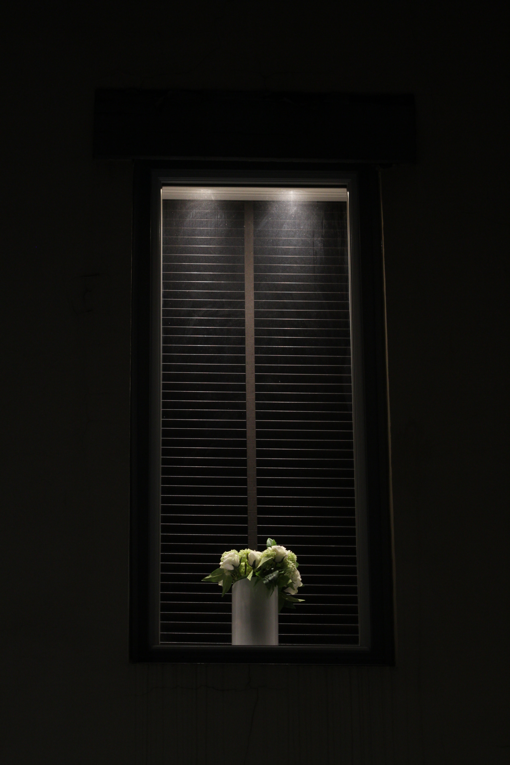 Sigma 105mm F2.8 EX DG OS HSM sample photo. 37/366 photography
