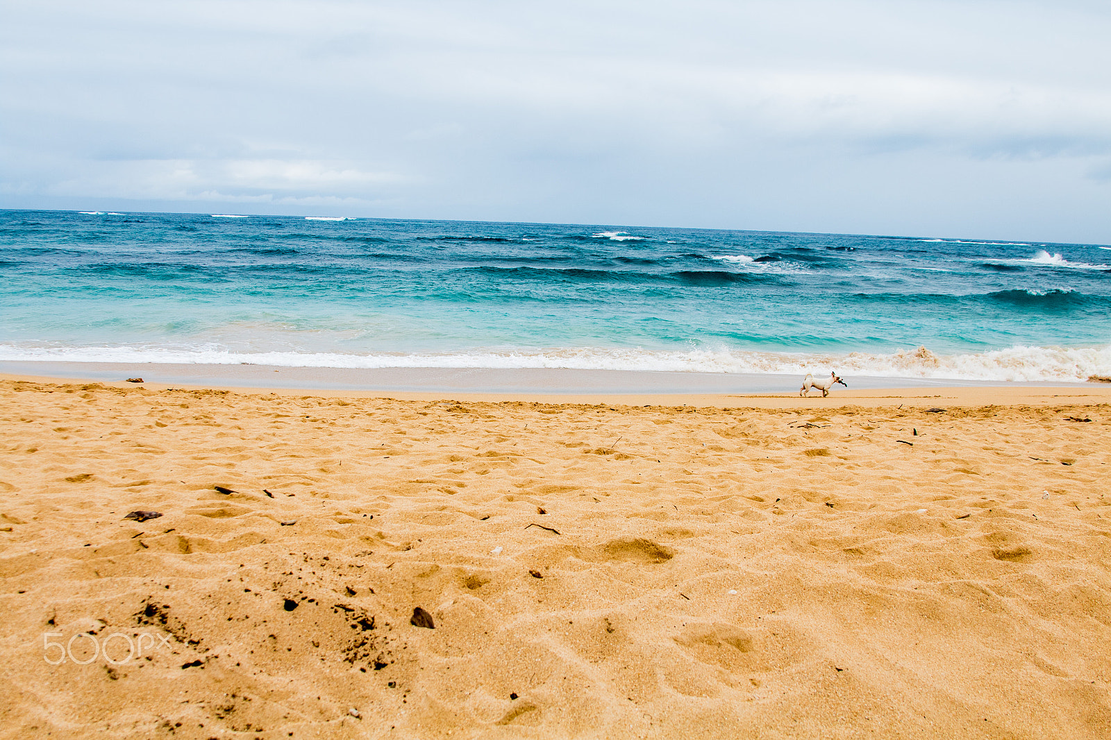 Canon EF 28-135mm F3.5-5.6 IS USM sample photo. Sandy playtime photography