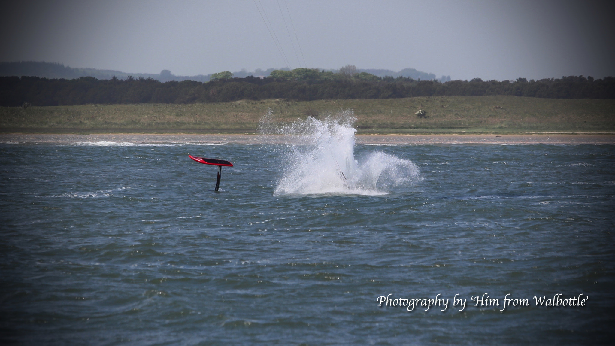 Canon EF-S 55-250mm F4-5.6 IS STM sample photo. Fullsizeoutput bd photography