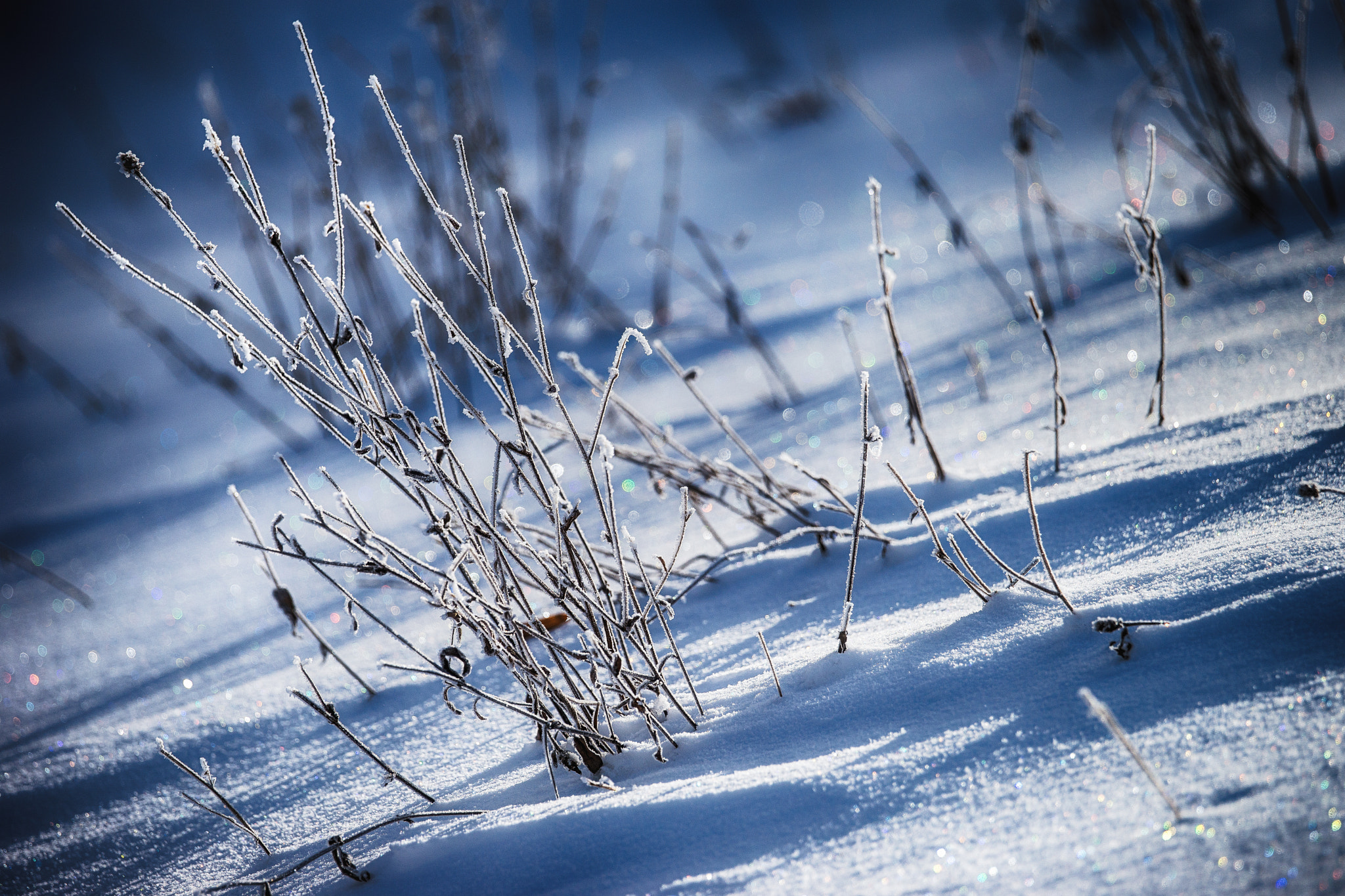 Sony 70-400mm F4-5.6 G SSM II sample photo. Small snowscape photography