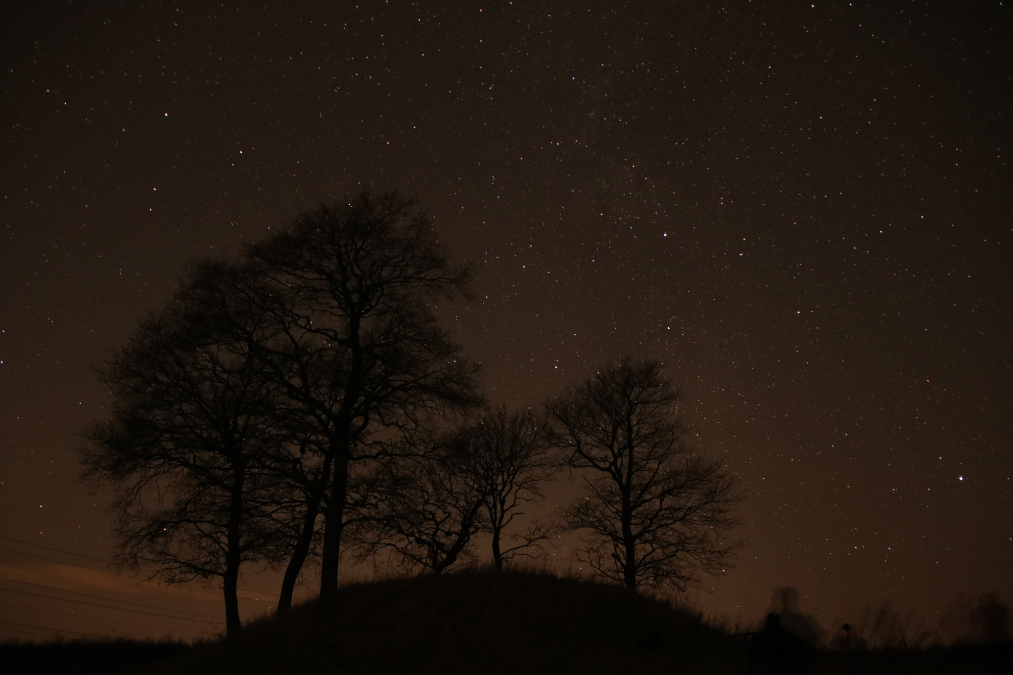 Canon EOS 760D (EOS Rebel T6s / EOS 8000D) sample photo. Stars photography
