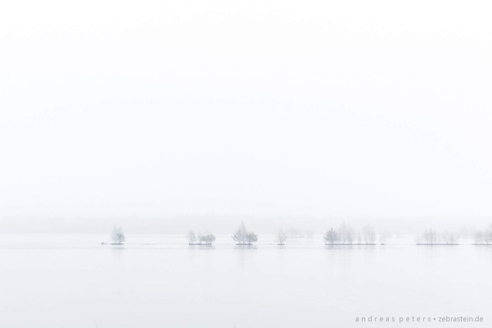 Canon EF 24-70mm F2.8L II USM sample photo. Misty swamp photography