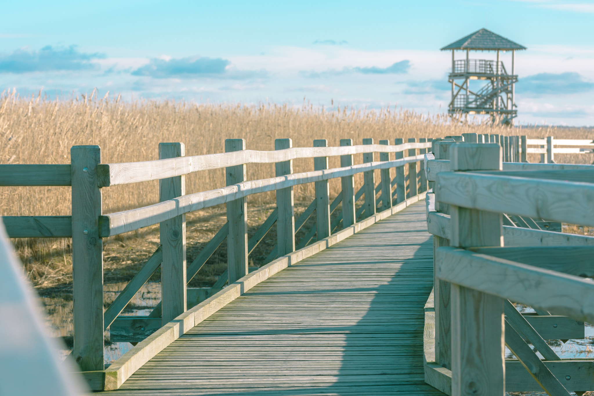 Nikon AF-S Nikkor 70-200mm F2.8G ED VR II sample photo. Bird watching tower on a lake with wooden trail photography