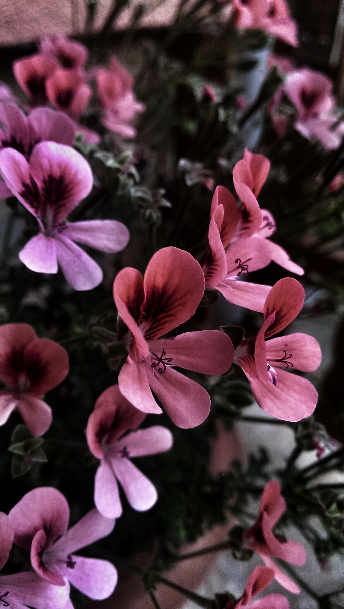 HTC ONE GOOGLE PLAY EDITION sample photo. Nyár photography