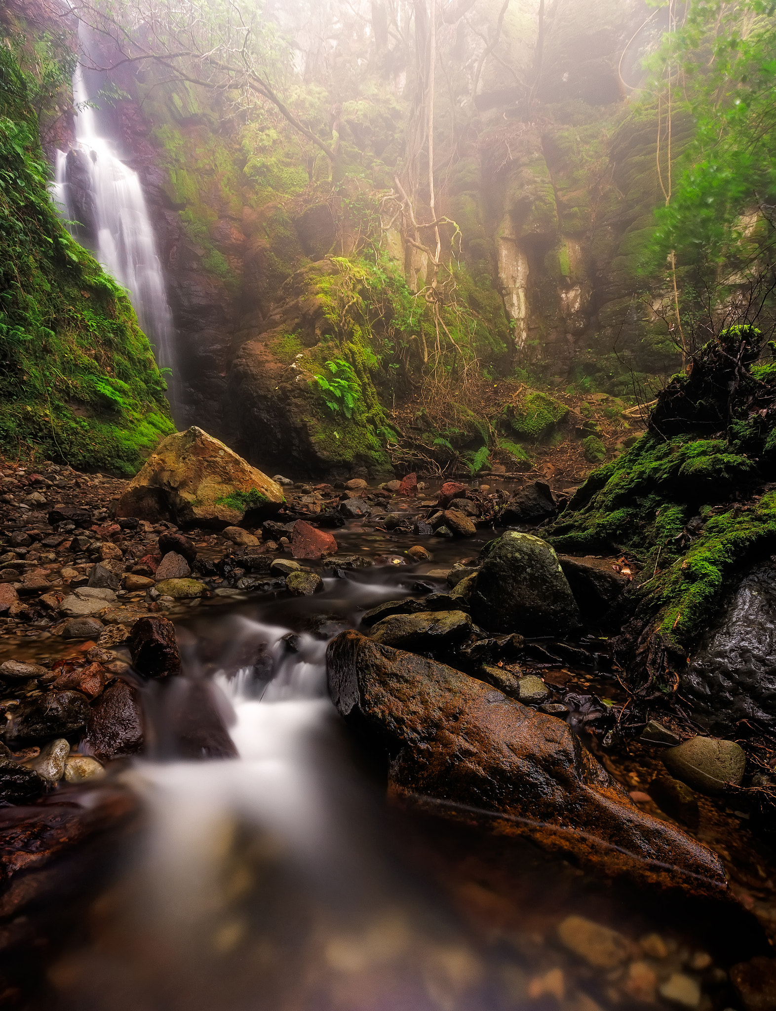 Sony a7 + Sony DT 50mm F1.8 SAM sample photo. The magical waterfall photography