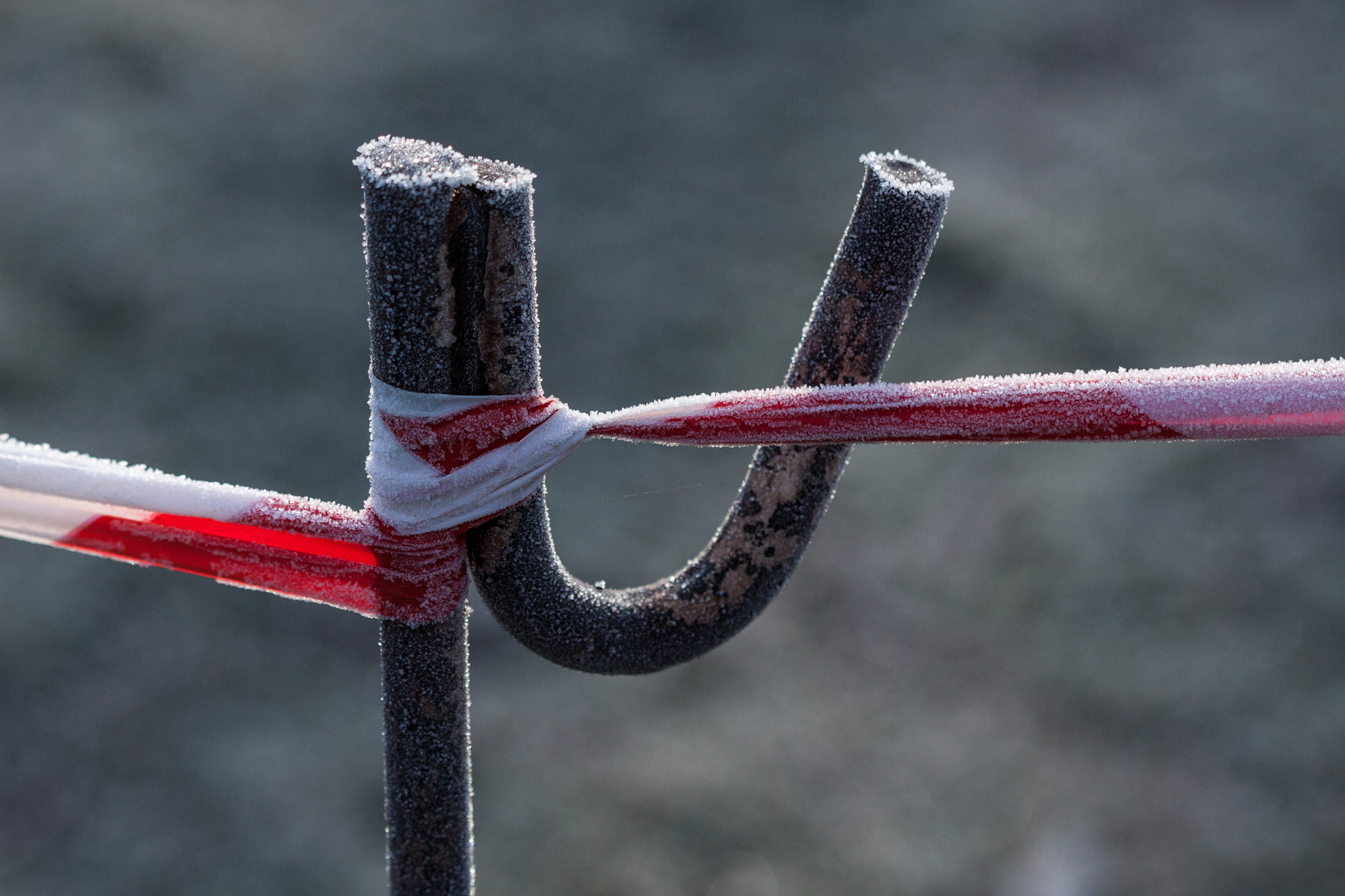 Canon EF 100mm F2.8 Macro USM sample photo. Interdiction de traverser (no passing) photography