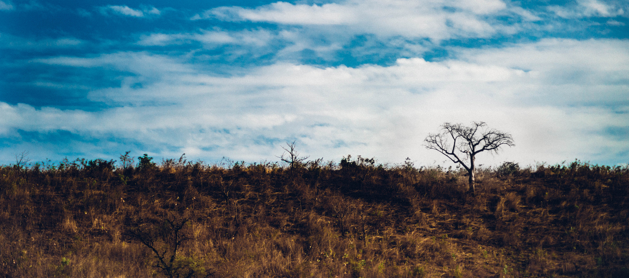 Nikon Df sample photo. Solitude photography