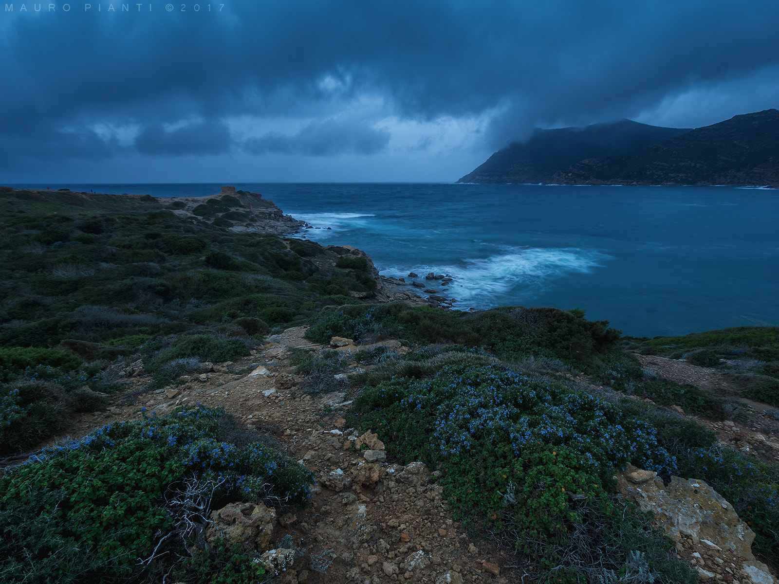 Olympus OM-D E-M1 + Olympus Zuiko Digital ED 9-18mm F4.0-5.6 sample photo. In the blue hour photography