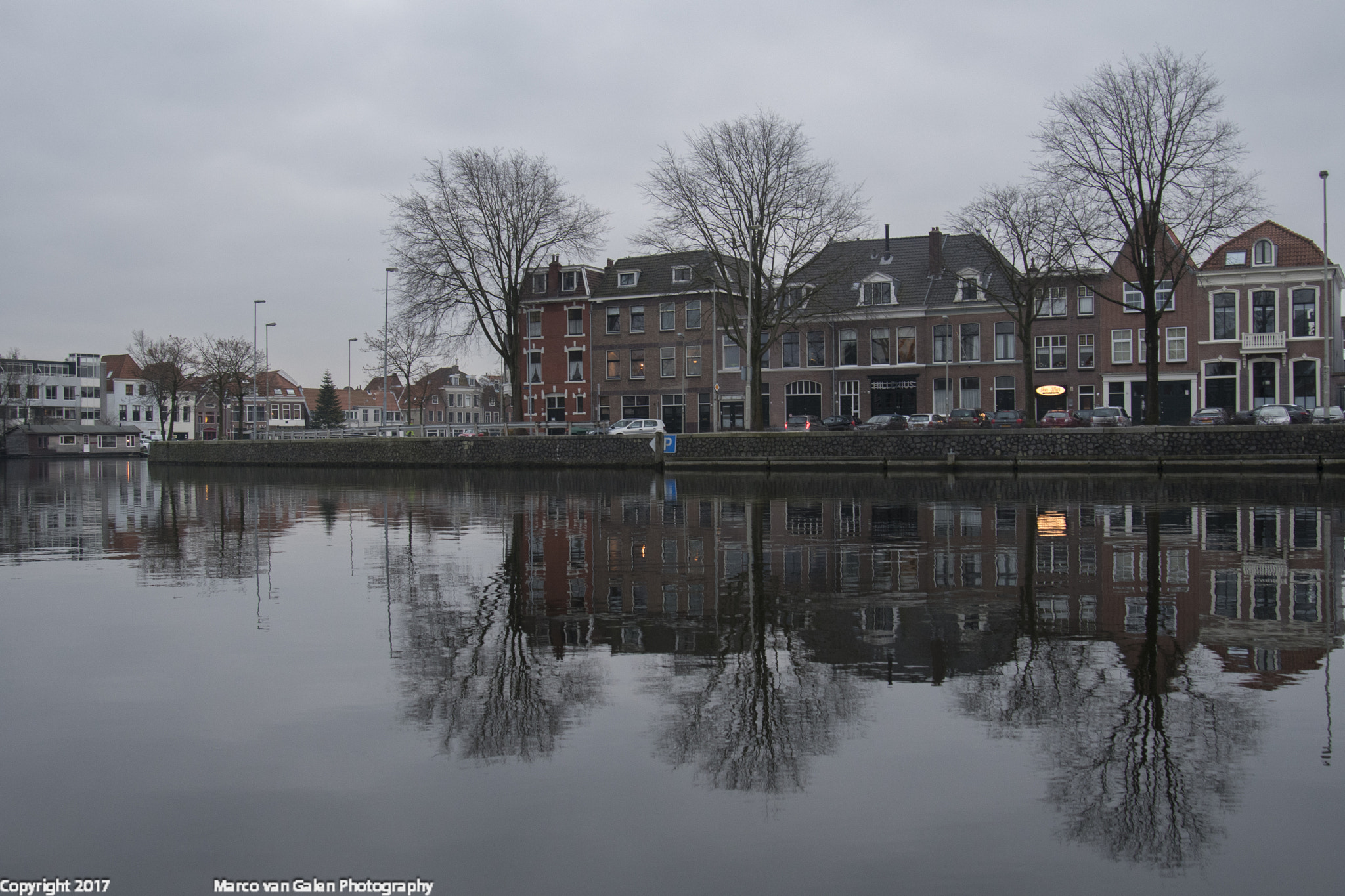 Nikon D500 sample photo. Spaarne photography