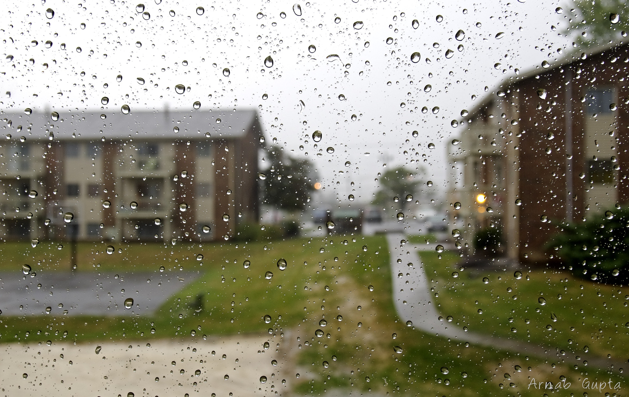 Olympus OM-D E-M5 II sample photo. Rain photography