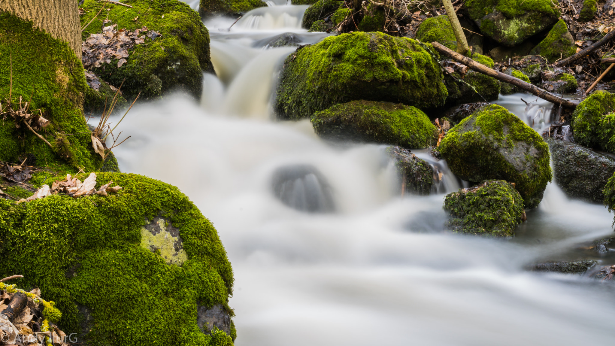 Sony DT 18-135mm F3.5-5.6 SAM sample photo. Leyenbach photography