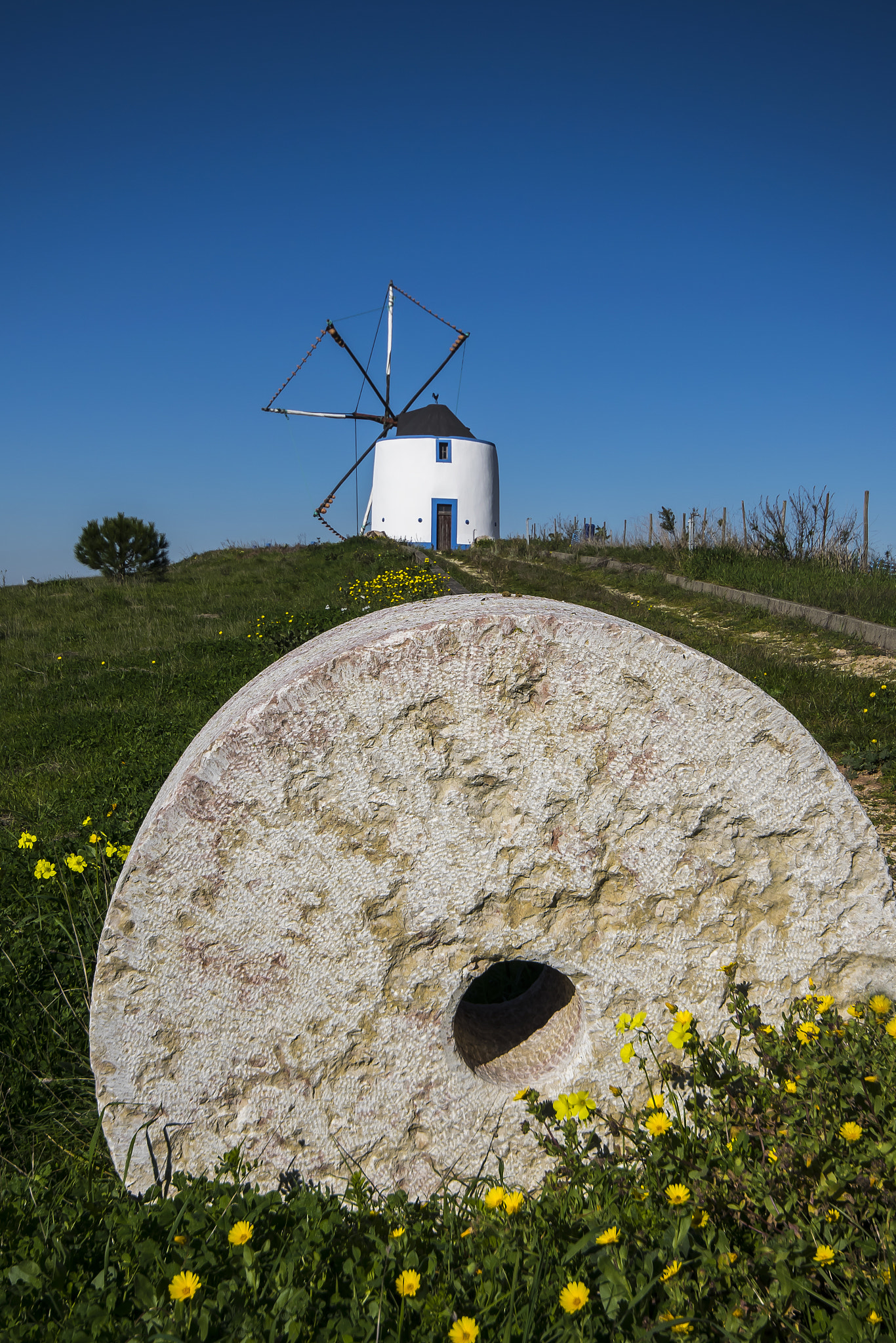 Sigma 10-20mm F4-5.6 EX DC HSM sample photo. Moinho photography