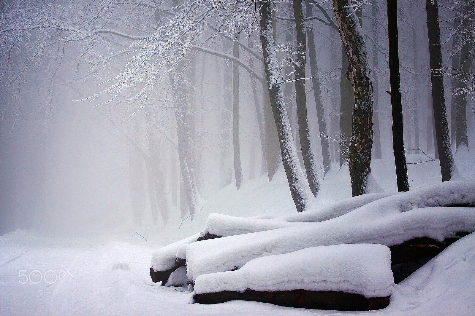 Canon EOS 50D + Canon EF 70-200mm F4L USM sample photo. ...winter in oremoutains photography