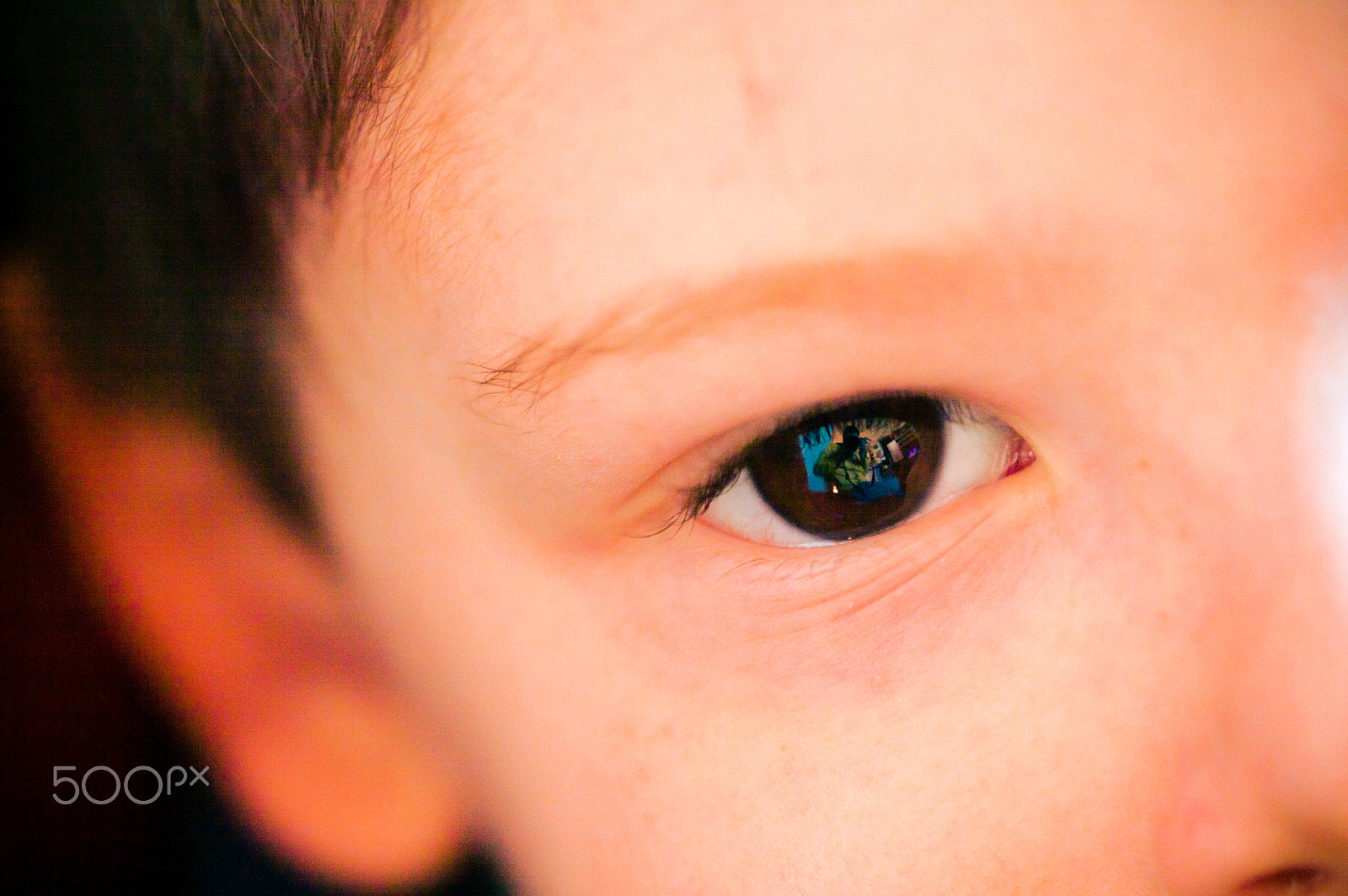Sigma 105mm F2.8 EX DG OS HSM sample photo. Occhio photography