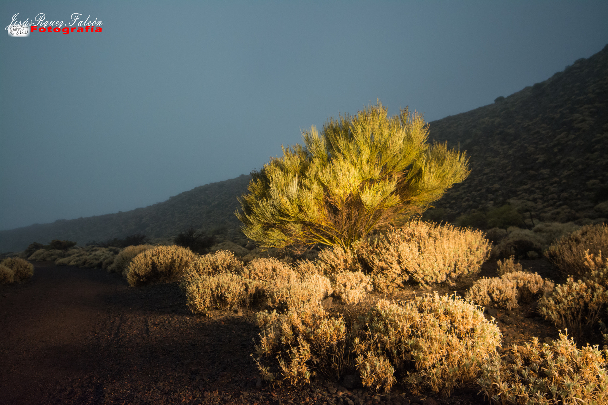Samyang 14mm F2.8 ED AS IF UMC sample photo. Teide's nigth photography